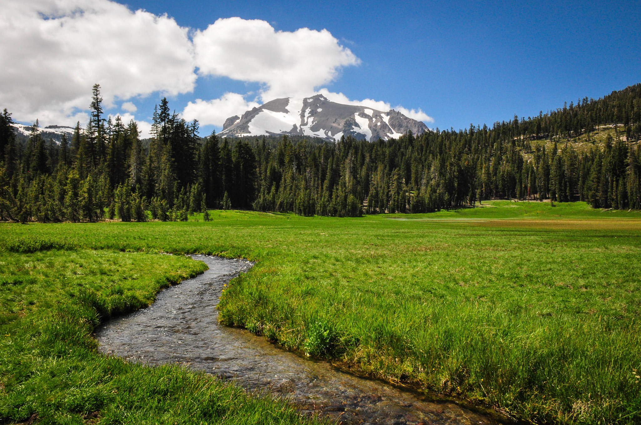 Nikon D5000 sample photo. Mtlassennp photography