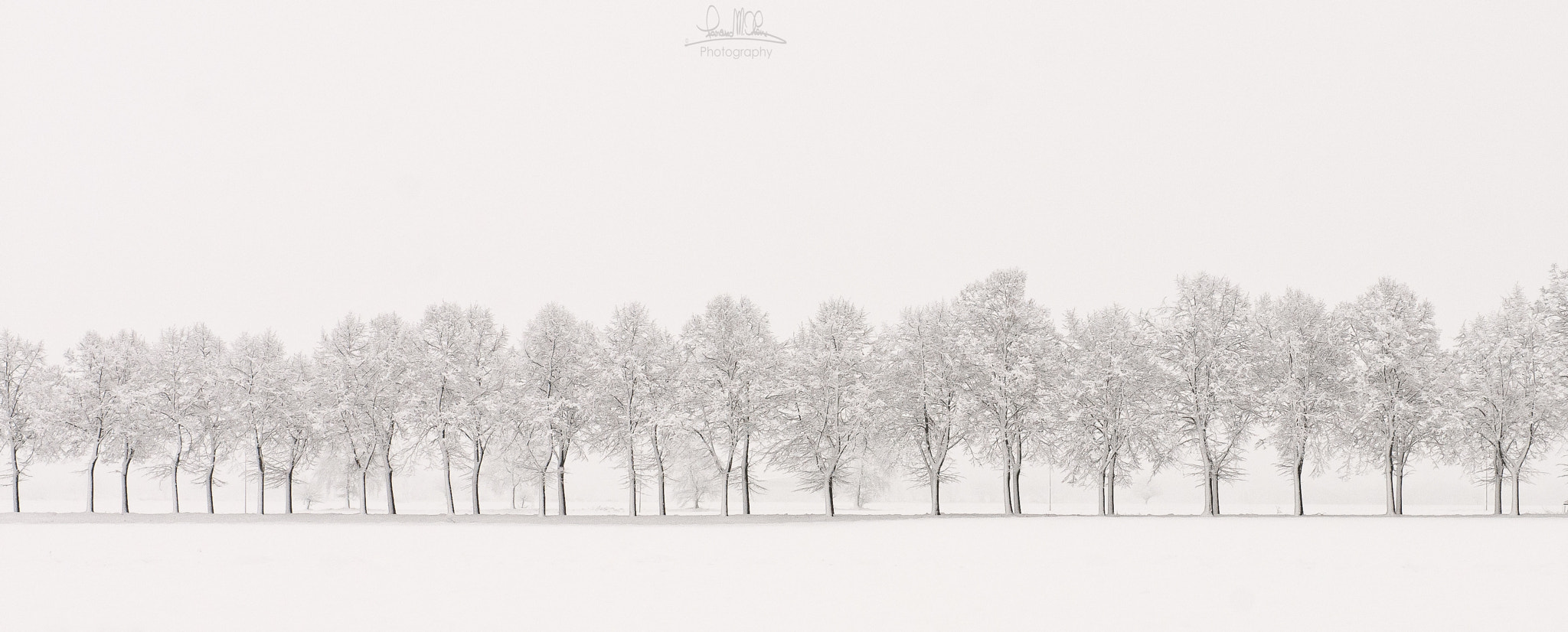 Nikon AF-S Nikkor 24-70mm F2.8G ED sample photo. Snow covers everything.jpg photography