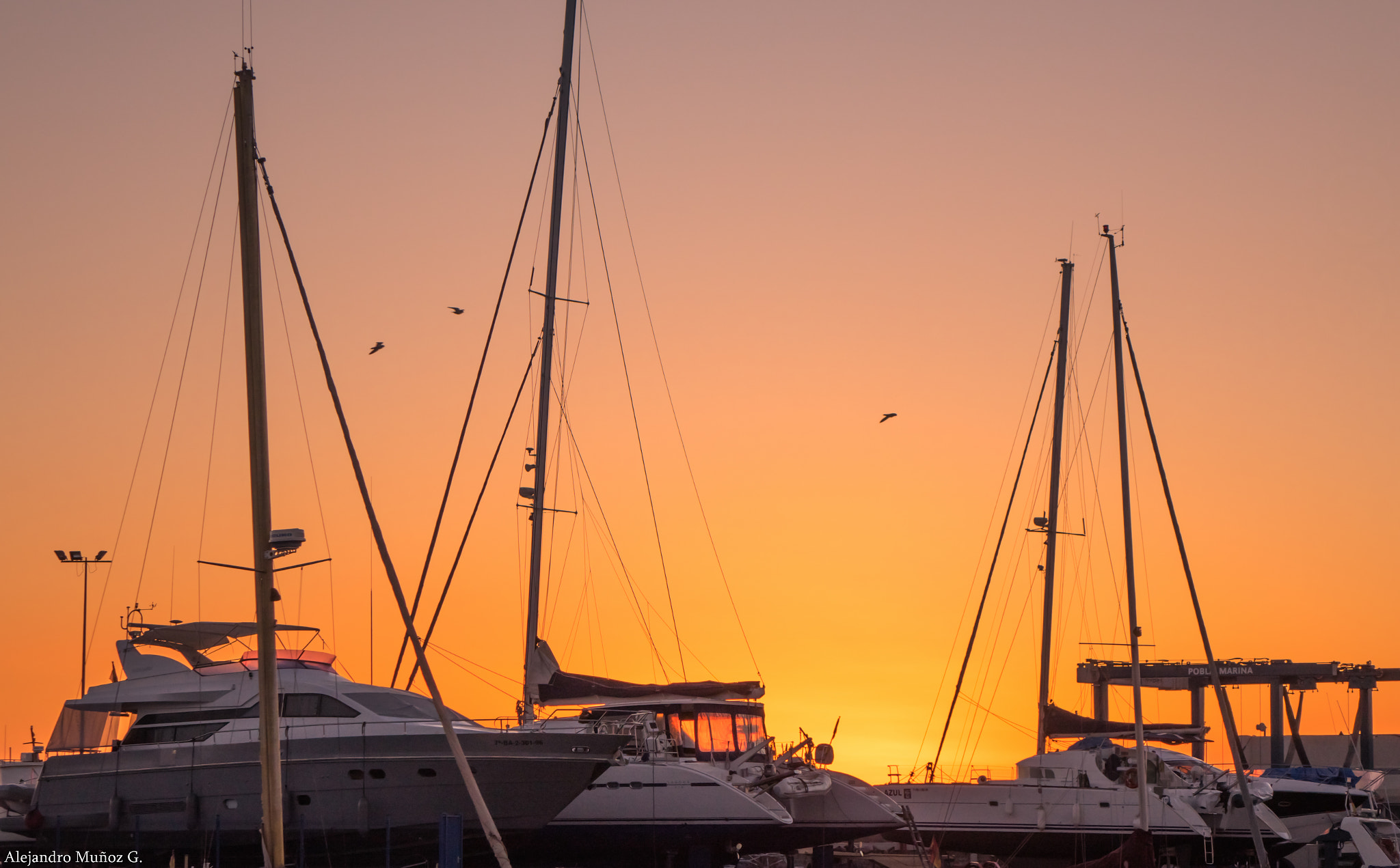 Sony Cyber-shot DSC-RX10 + 24-200mm F2.8 sample photo. Puerto deportivo pobla marina photography