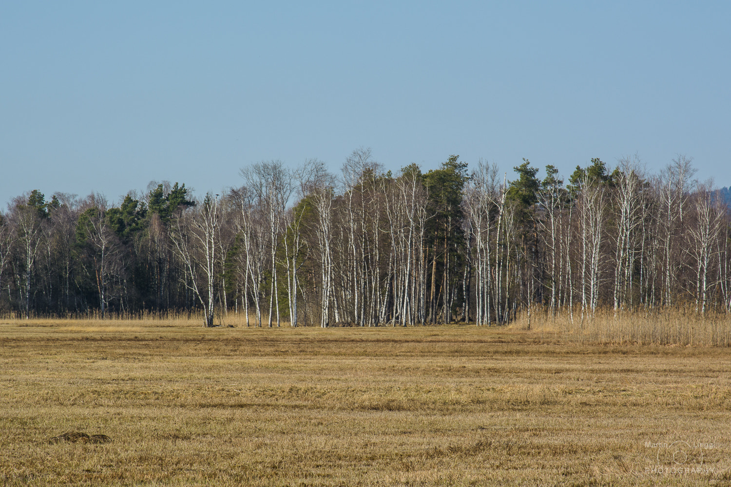 Nikon AF-S Nikkor 24-120mm F4G ED VR sample photo. A day in the reed photography