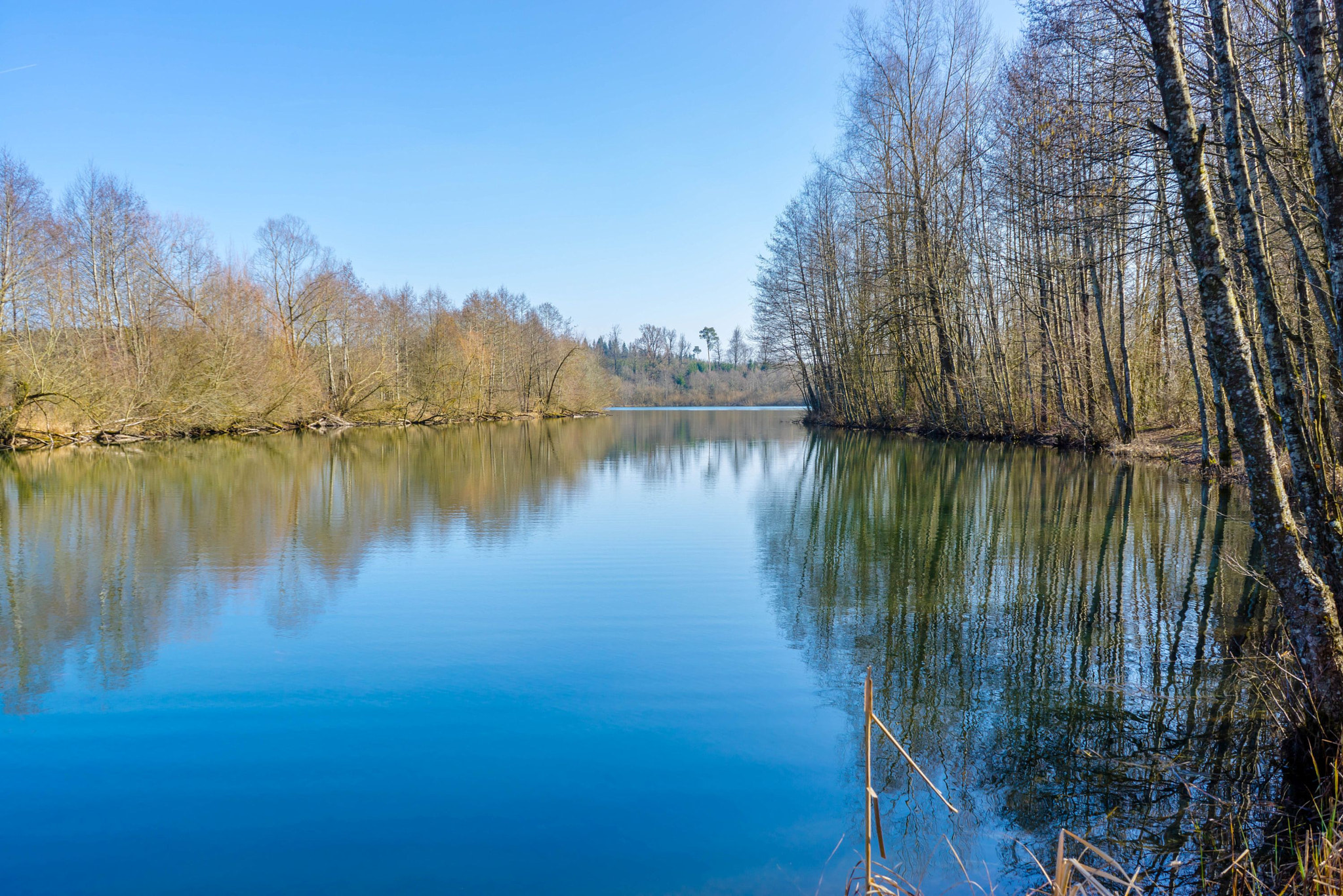 Sony a7R + Sony FE 28-70mm F3.5-5.6 OSS sample photo. Nature pure photography