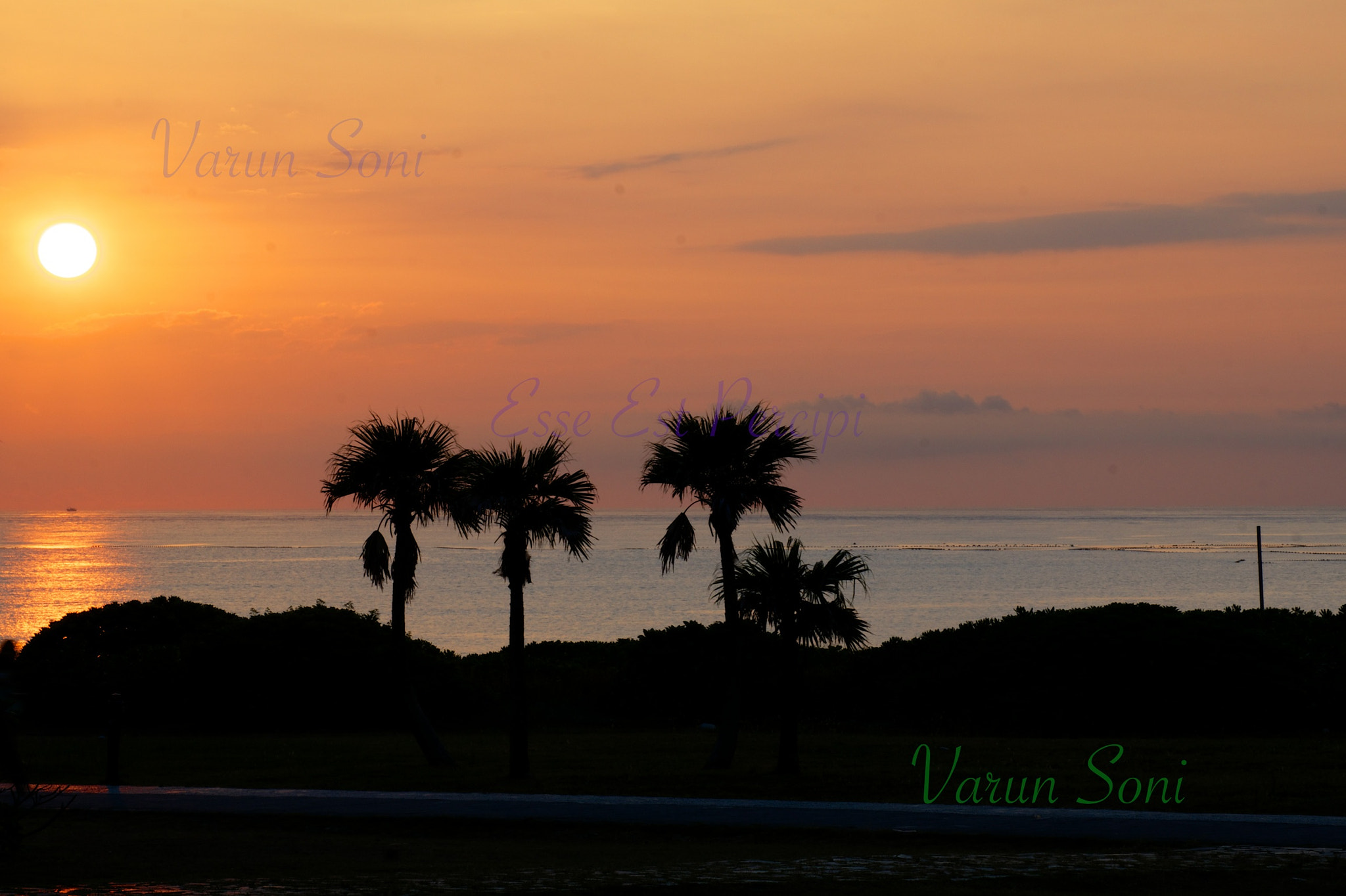 Sony SLT-A65 (SLT-A65V) sample photo. Morning... photography