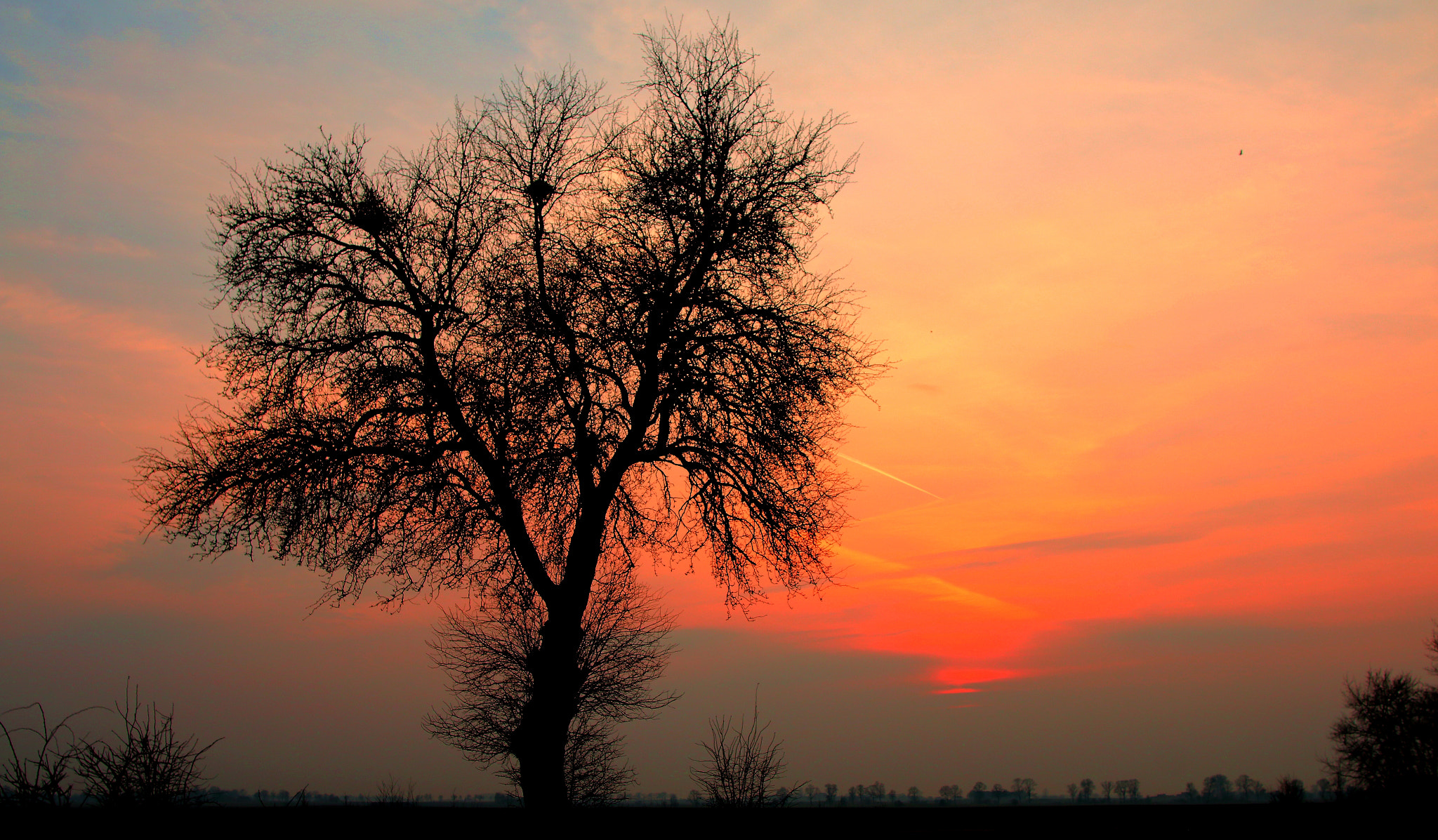 Canon EOS 70D + Canon EF 24mm F1.4L II USM sample photo. At the evening photography