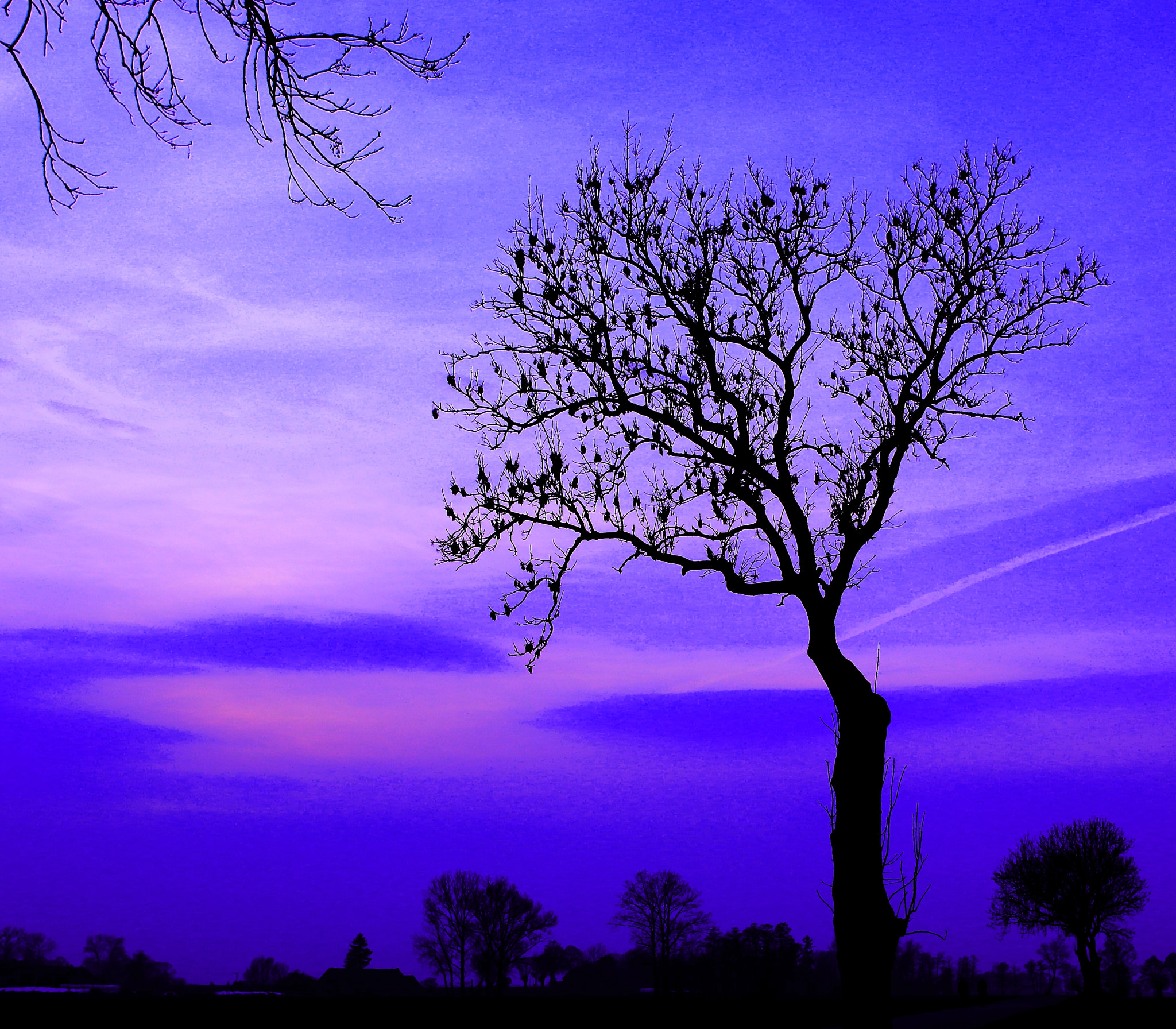 Canon EOS 70D sample photo. Purple sky photography