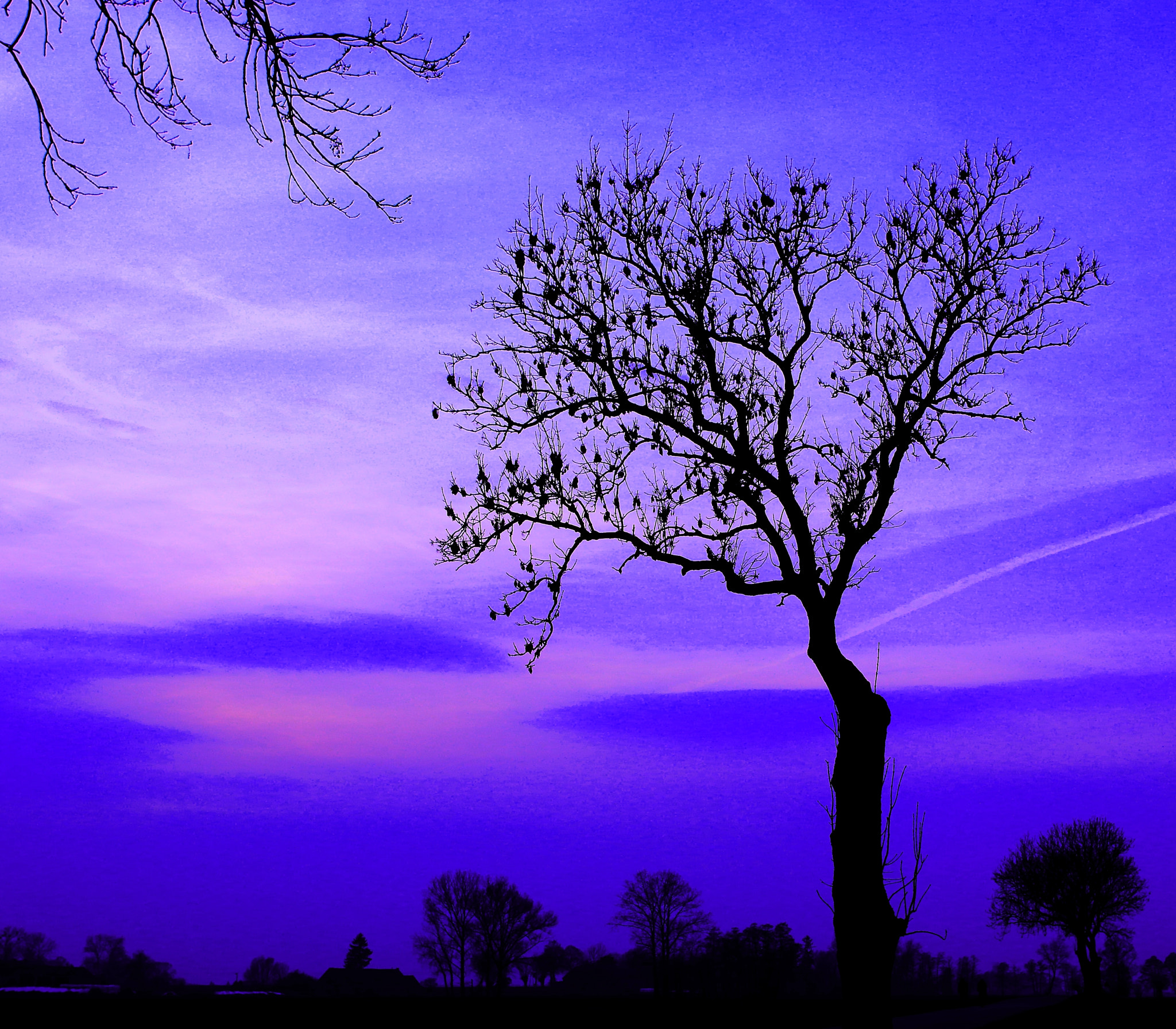 Canon EF 24mm F1.4L II USM sample photo. Purple sky photography