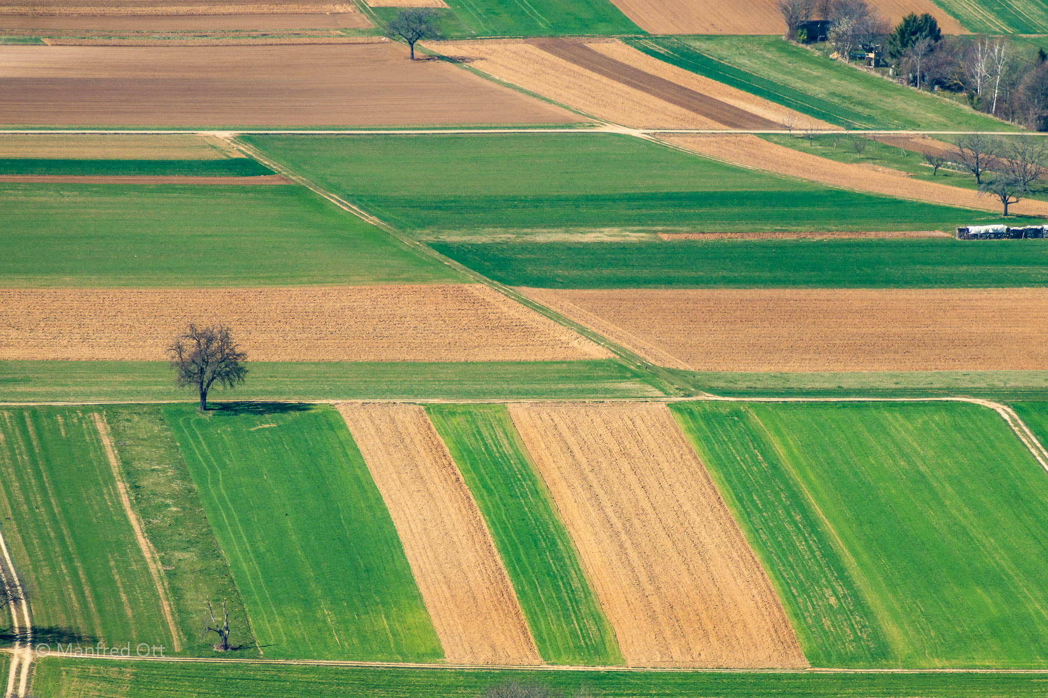 Nikon D3200 sample photo. Spring season photography