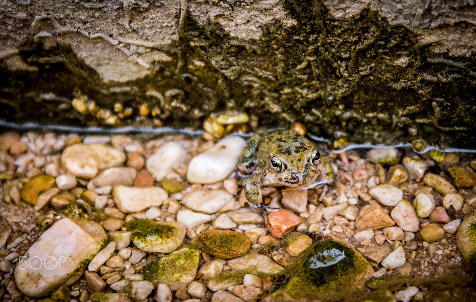 Canon EF 24-70mm F4L IS USM sample photo. Wadi shab - oman photography