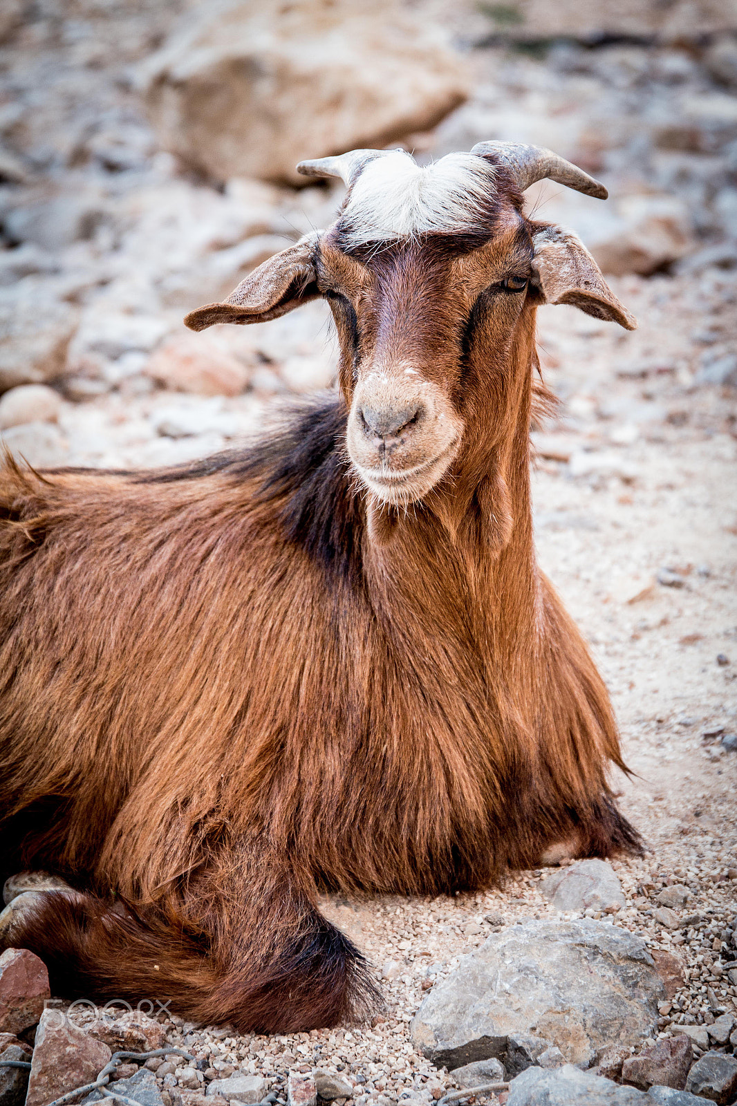 Canon EF 24-70mm F4L IS USM sample photo. Wadi shab - oman photography