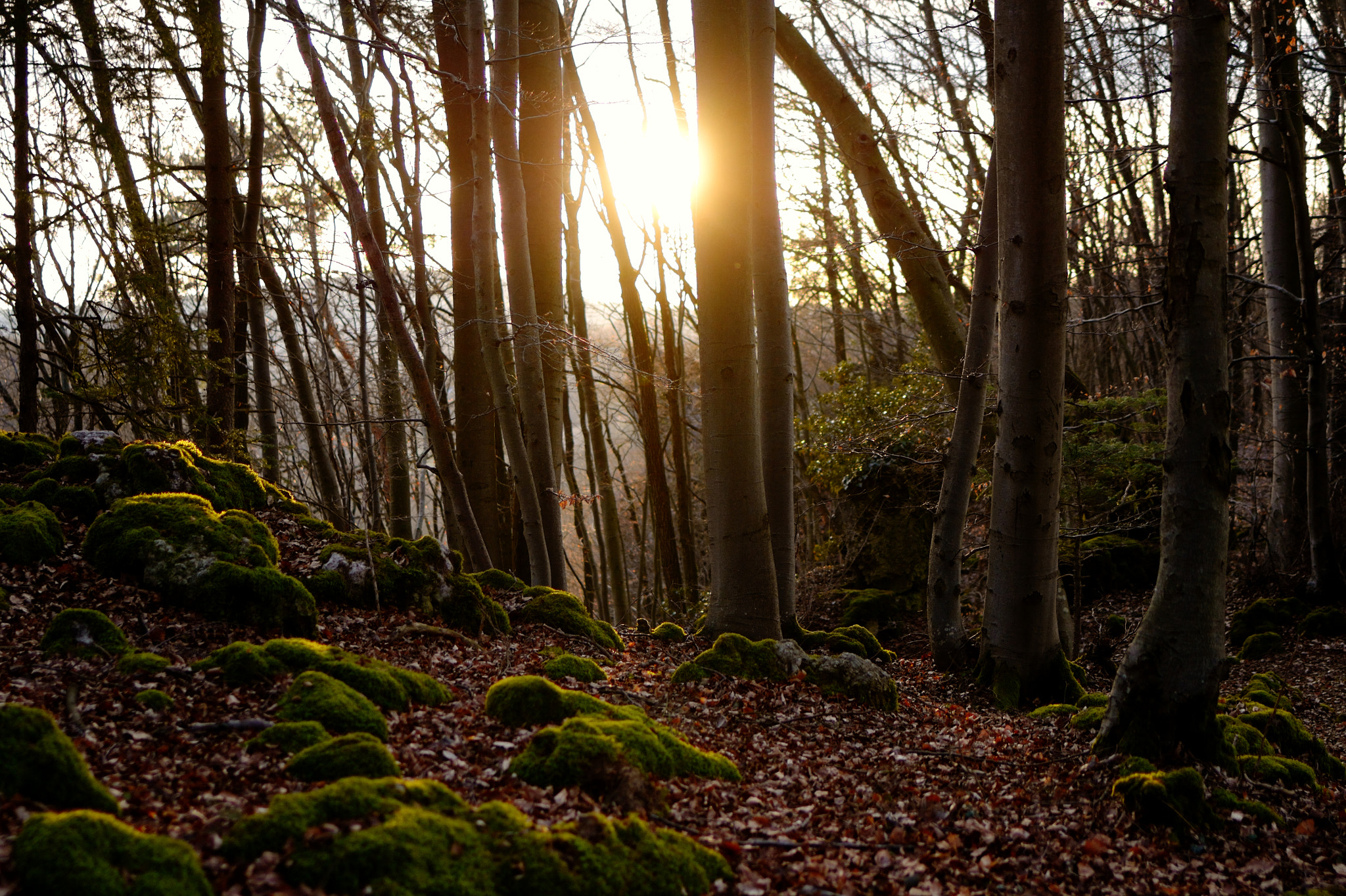 Nikon D3100 + Tamron SP 35mm F1.8 Di VC USD sample photo. Sunbath photography