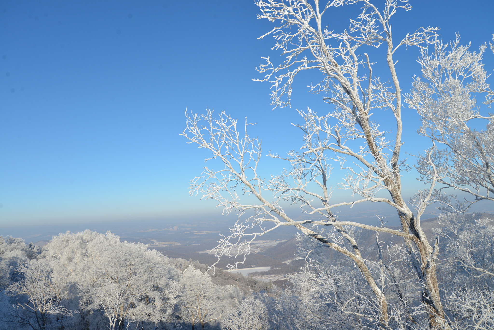 Nikon D600 sample photo. 雪山雾淞 photography