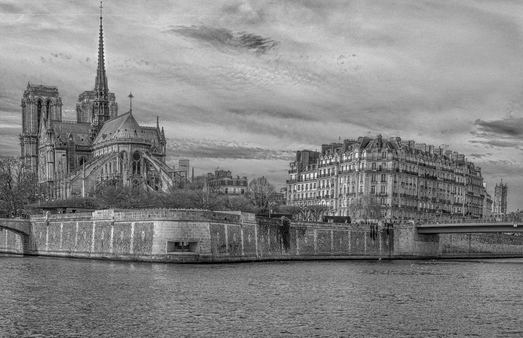 Nikon D610 + Nikon AF-S Nikkor 50mm F1.4G sample photo. City iland in the river seine in paris photography