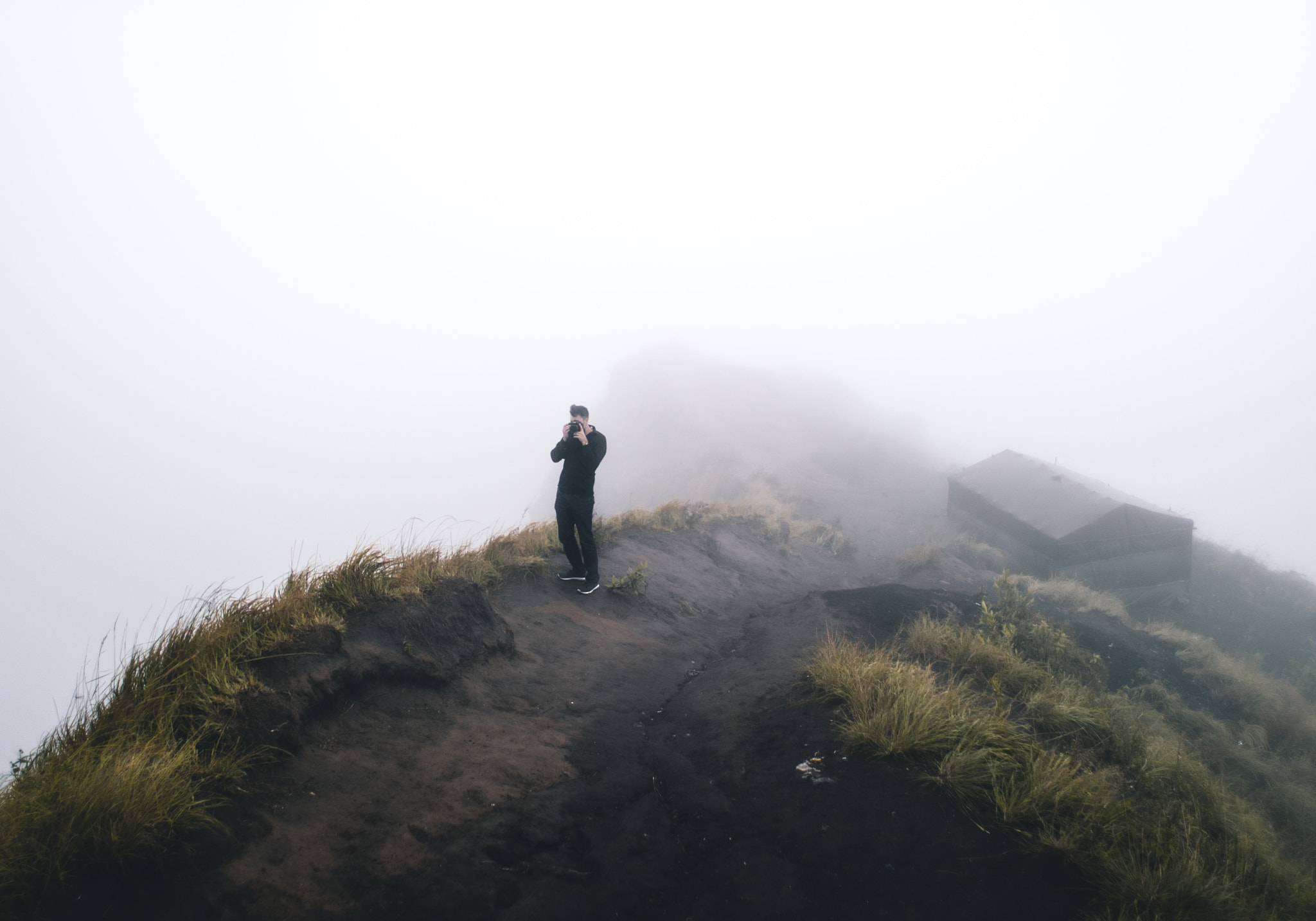 Sony a7S II + Sony DT 50mm F1.8 SAM sample photo. Hedgehog in the fog photography