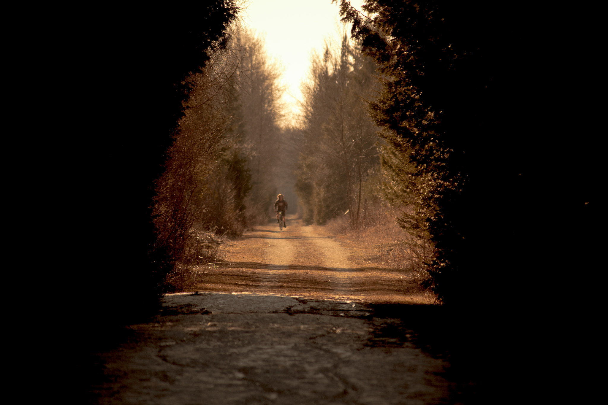 Canon EF-S 55-250mm F4-5.6 IS II sample photo. Trek photography