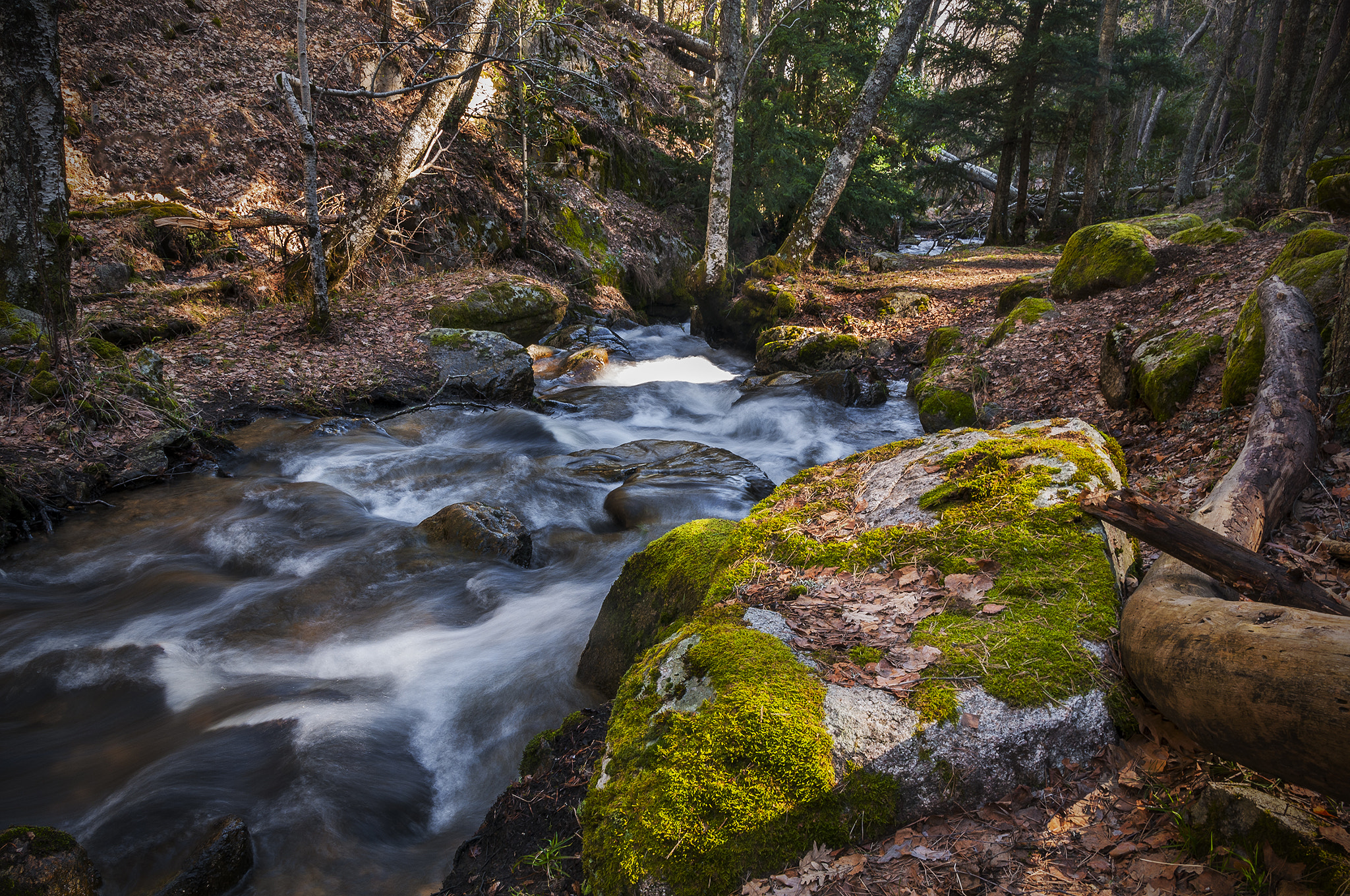 Sigma 17-50mm F2.8 EX DC OS HSM sample photo. Rio322244 photography