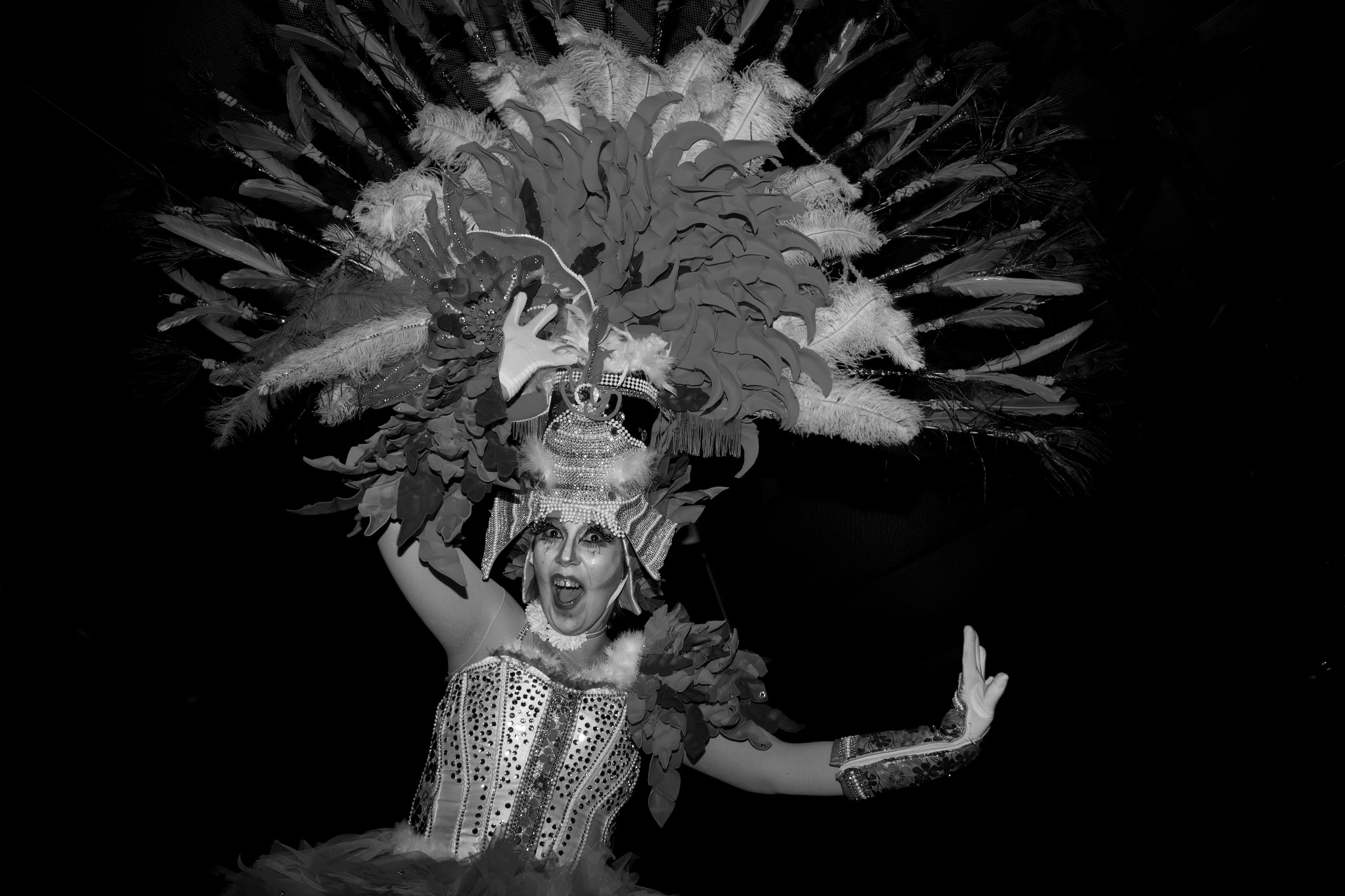 Sigma 17-70mm F2.8-4 DC Macro OS HSM sample photo. Carnaval 2017 photography