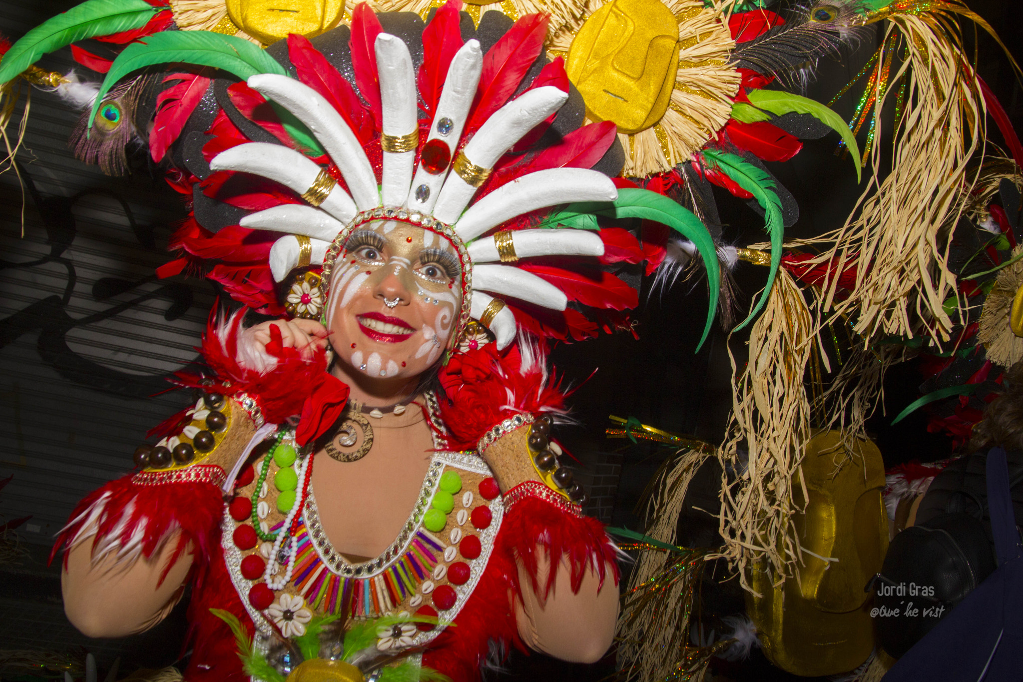 Sigma 17-70mm F2.8-4 DC Macro OS HSM sample photo. Carnaval 2017 photography