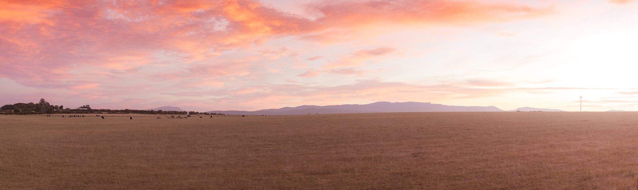 Canon EOS 5DS + Canon EF 50mm F1.2L USM sample photo. Launceston photography