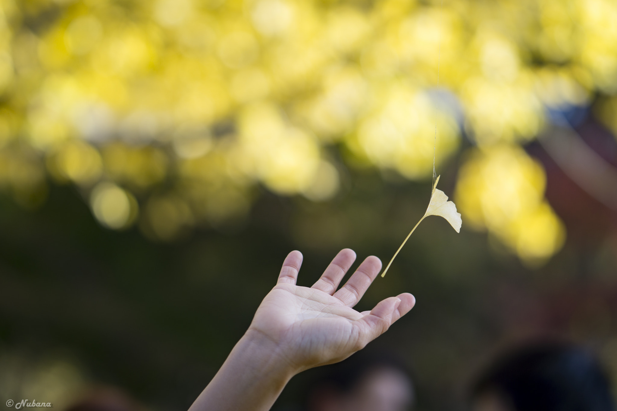ZEISS Batis 85mm F1.8 sample photo. Touching photography
