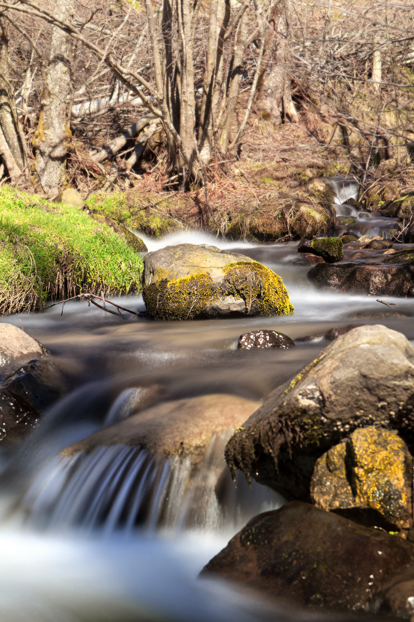 Canon EOS 60D + Canon EF 24-70mm F2.8L USM sample photo. Img photography