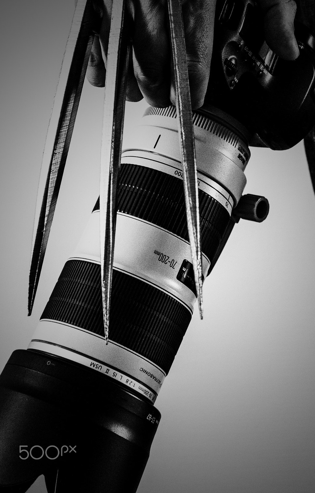 Canon EOS 60D + Canon EF 17-40mm F4L USM sample photo. Logan photography