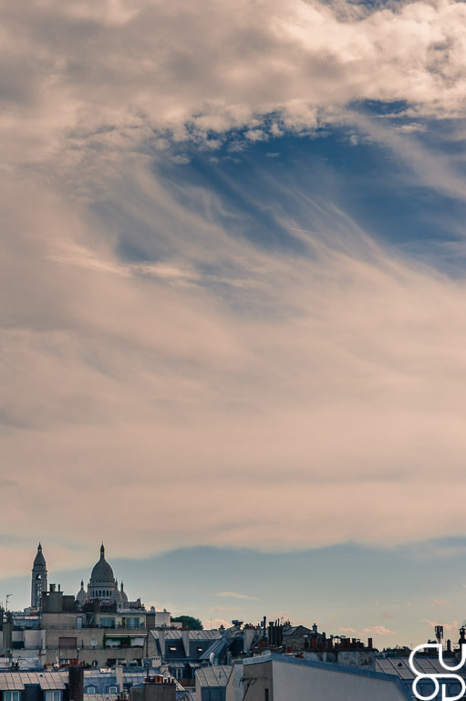 Nikon D700 sample photo. White on montmartre photography