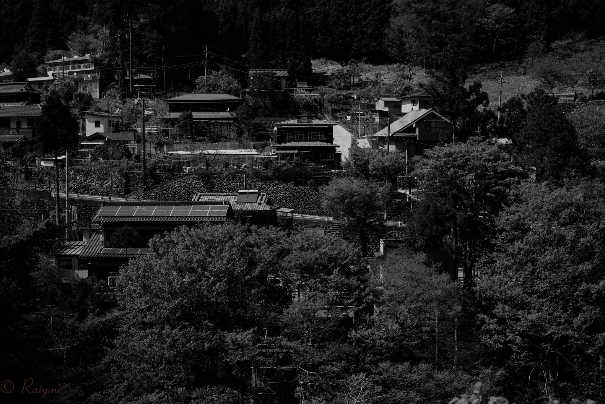 ZEISS Makro-Planar T* 50mm F2 sample photo. Dsc_8508 b&w-edit-1 photography