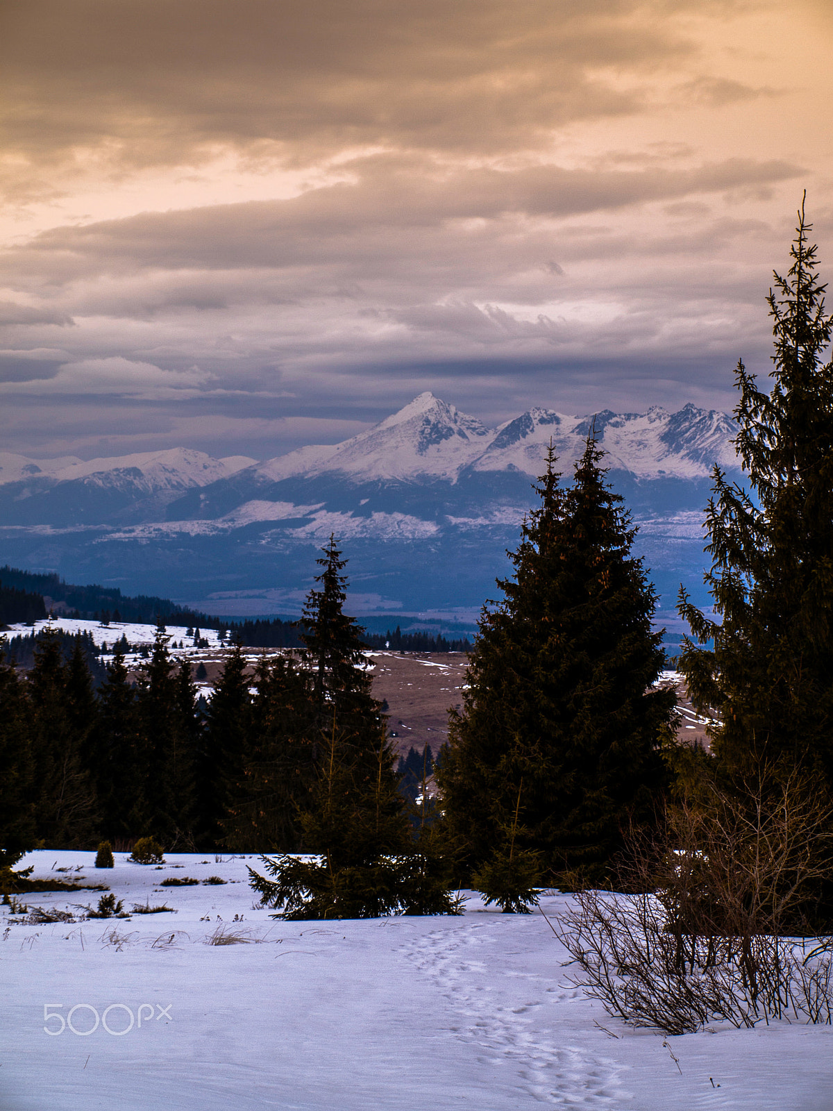 Olympus E-520 (EVOLT E-520) sample photo. VysokÉ tatry - slovakia photography