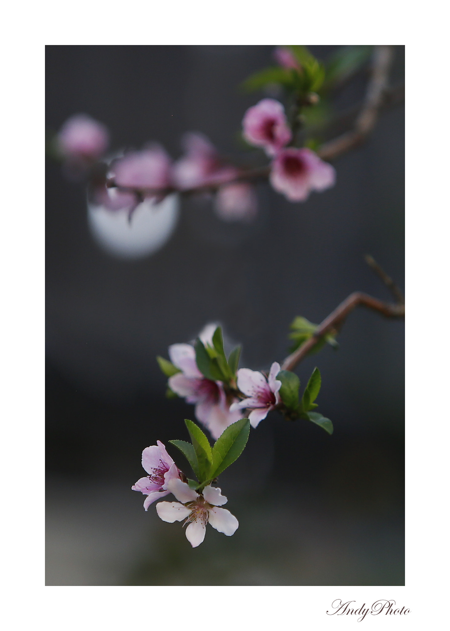 Canon EF 70-200mm F2.8L IS USM sample photo