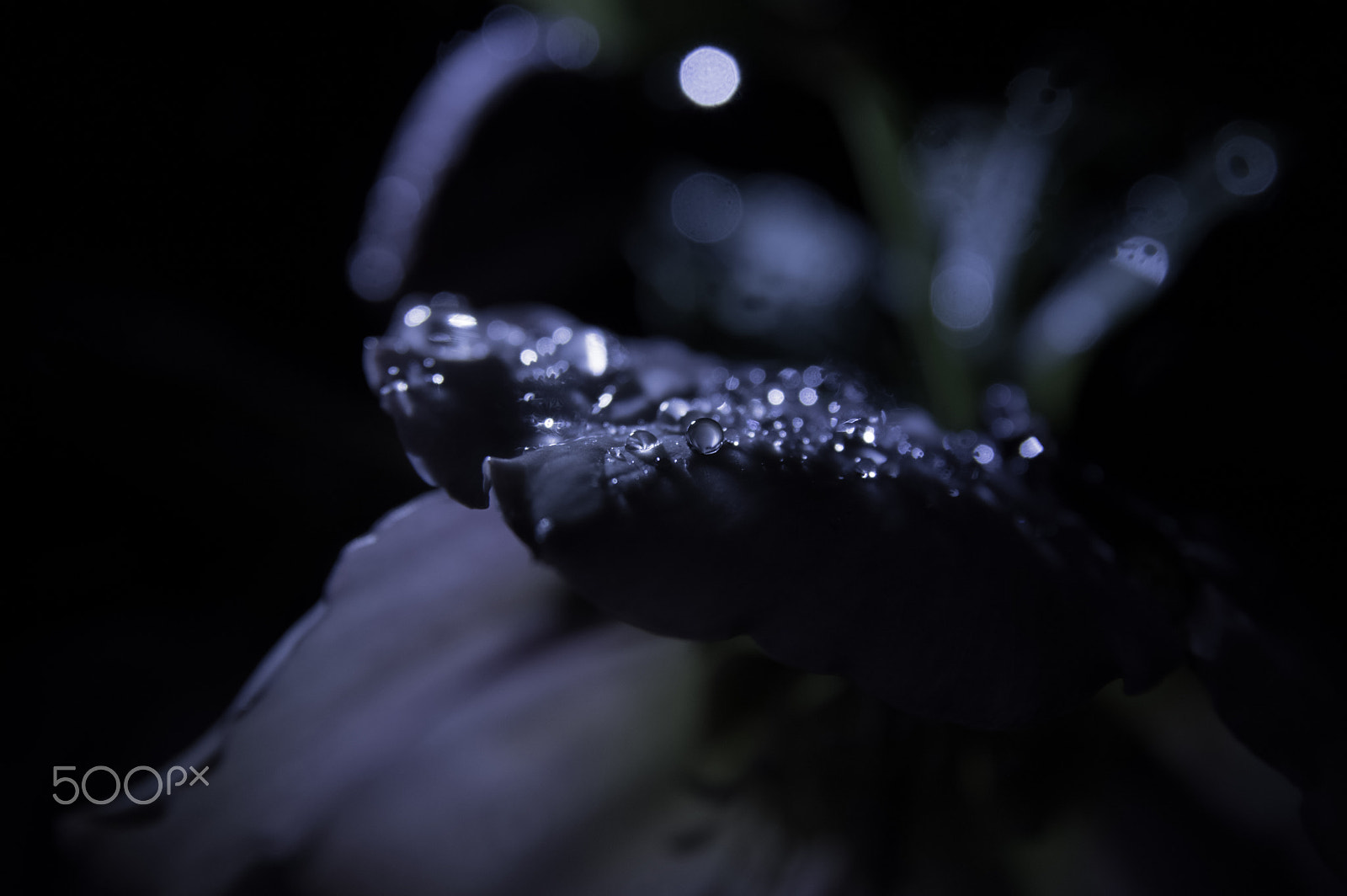 Sigma AF 10-20mm F4-5.6 EX DC sample photo. Look like "ghost" photography
