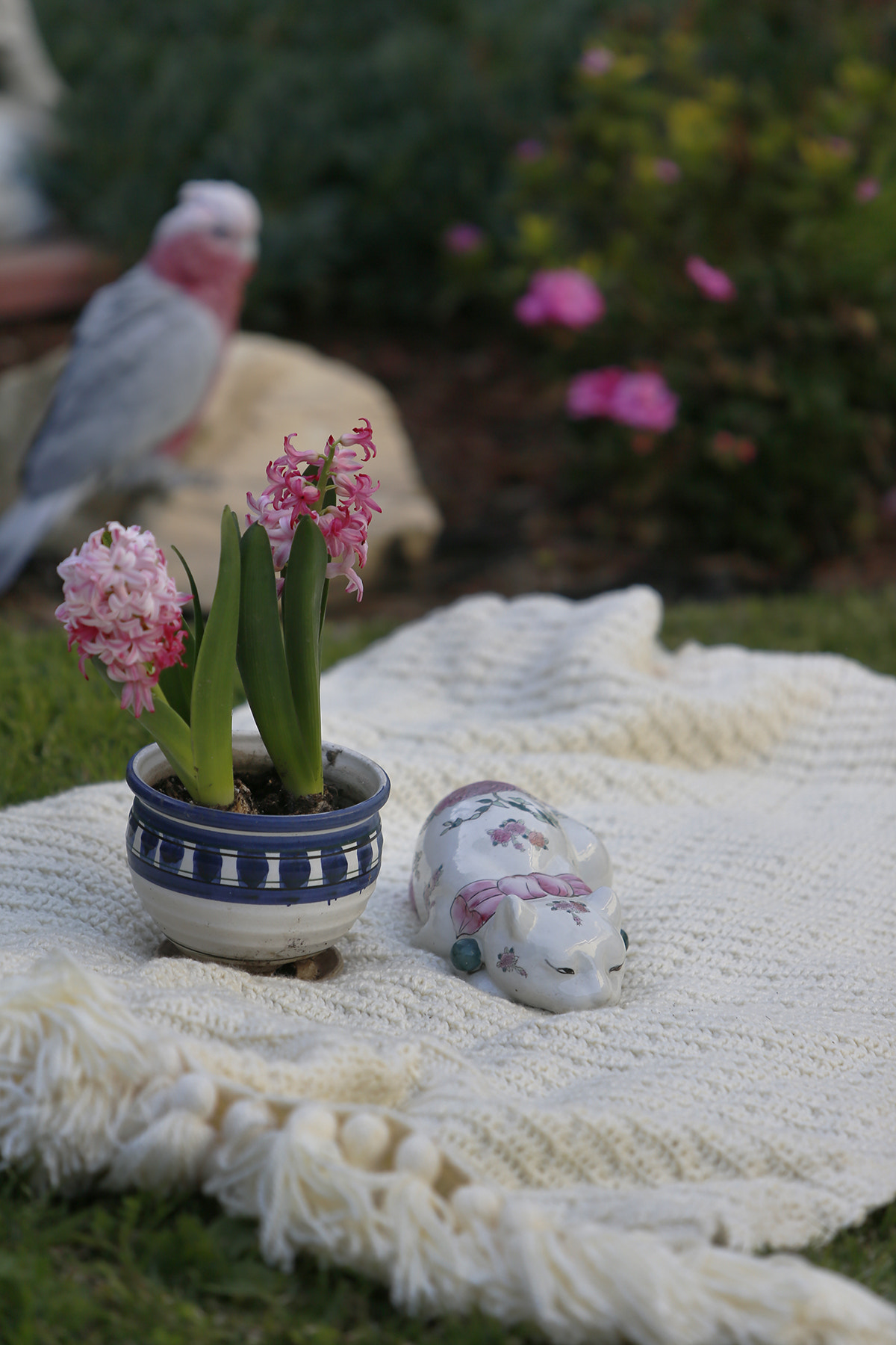 Canon EF 70-200mm F2.8L IS USM sample photo
