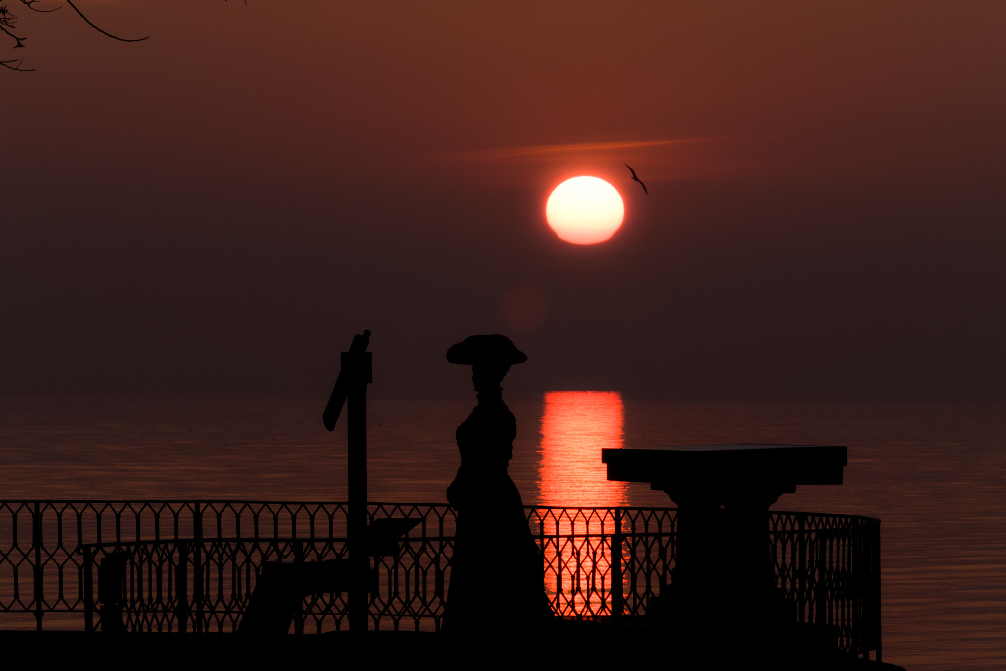 XF50-140mmF2.8 R LM OIS WR + 1.4x sample photo. ...goodmorningmadame... photography