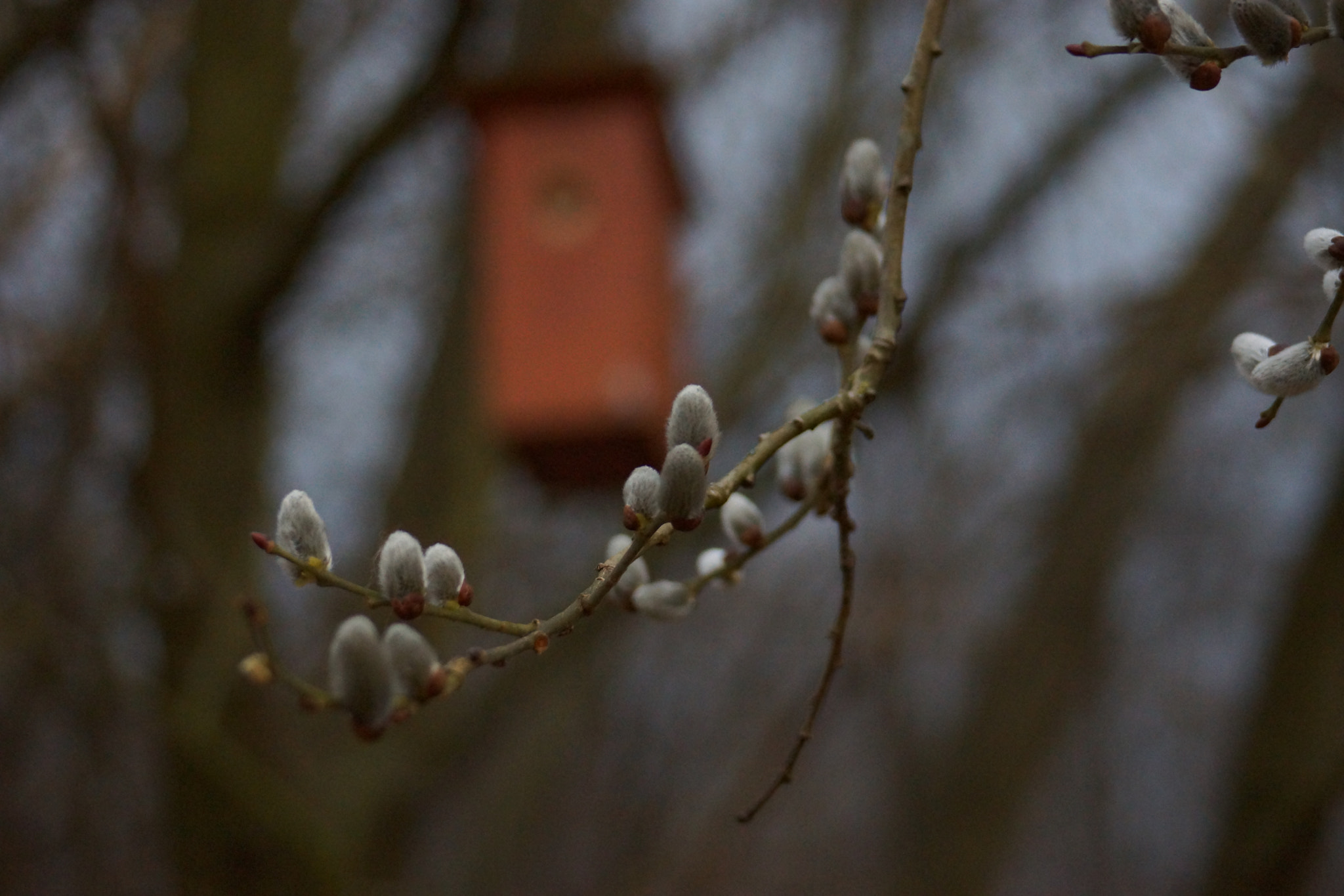 Minolta AF 70-210mm F4.5-5.6 [II] sample photo. Bird house  photography