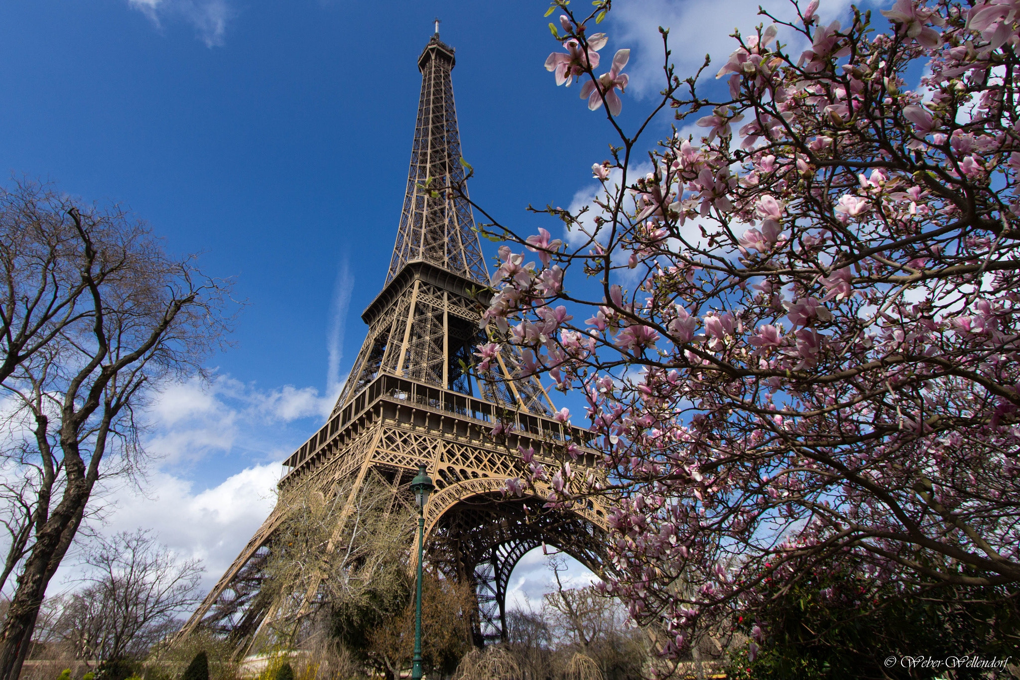 Canon EF-S 10-22mm F3.5-4.5 USM sample photo. Spring in paris photography
