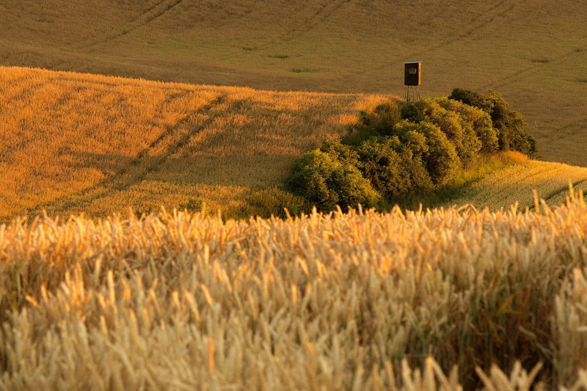 Sigma 150-500mm F5-6.3 DG OS HSM sample photo. West in waves photography