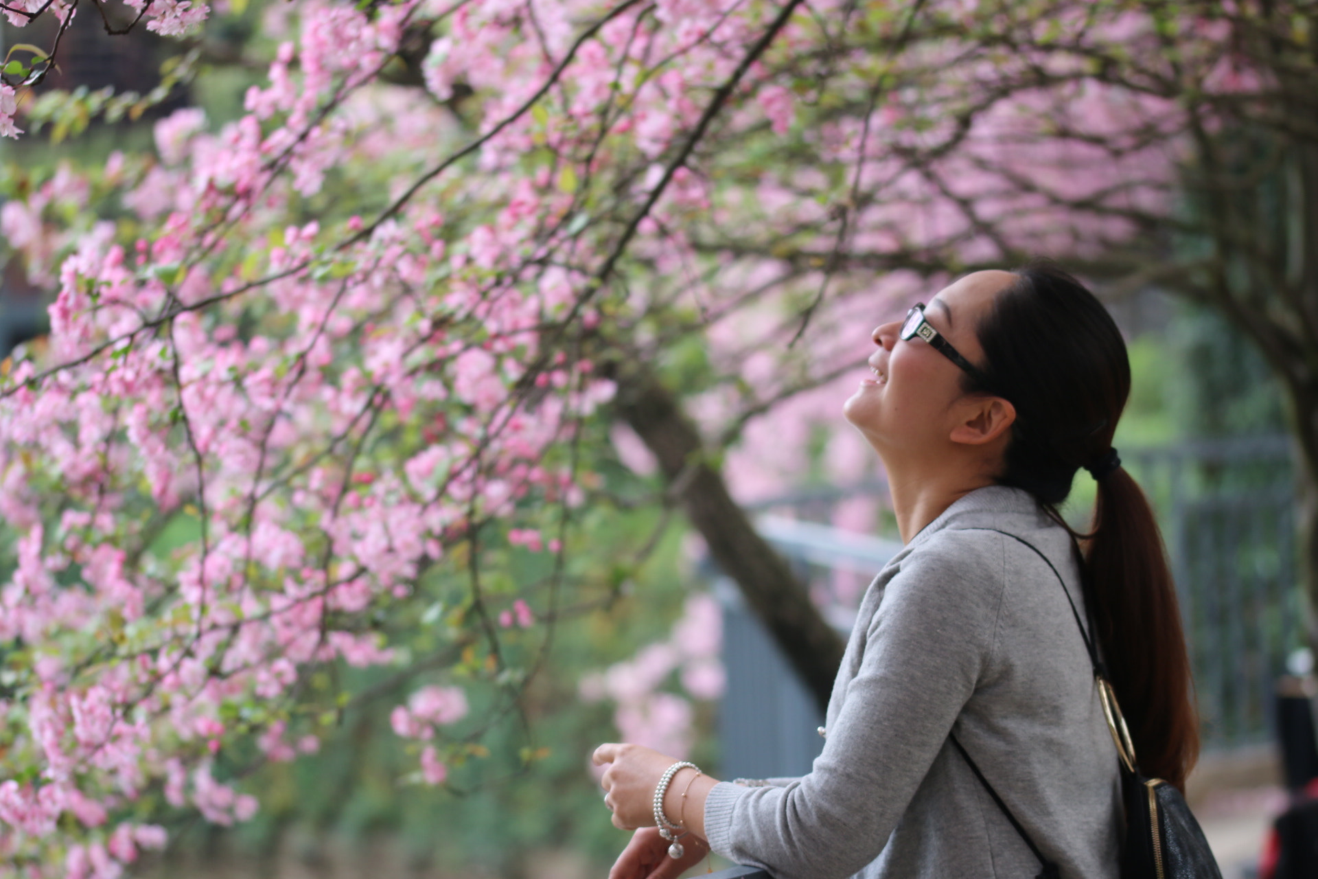 Sigma 105mm F2.8 EX DG OS HSM sample photo. 笑忘花 photography