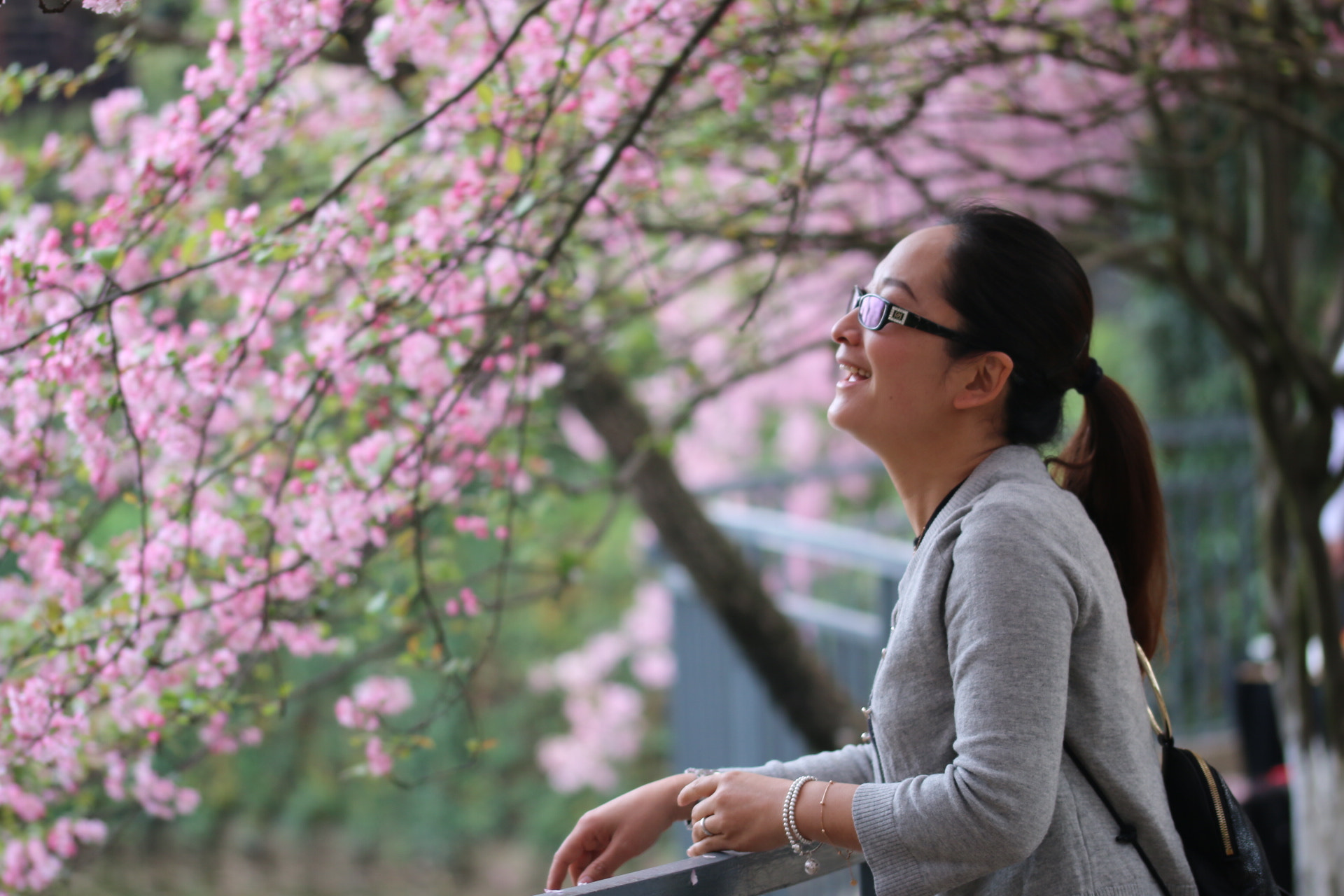 Sigma 105mm F2.8 EX DG OS HSM sample photo. 笑忘花 photography