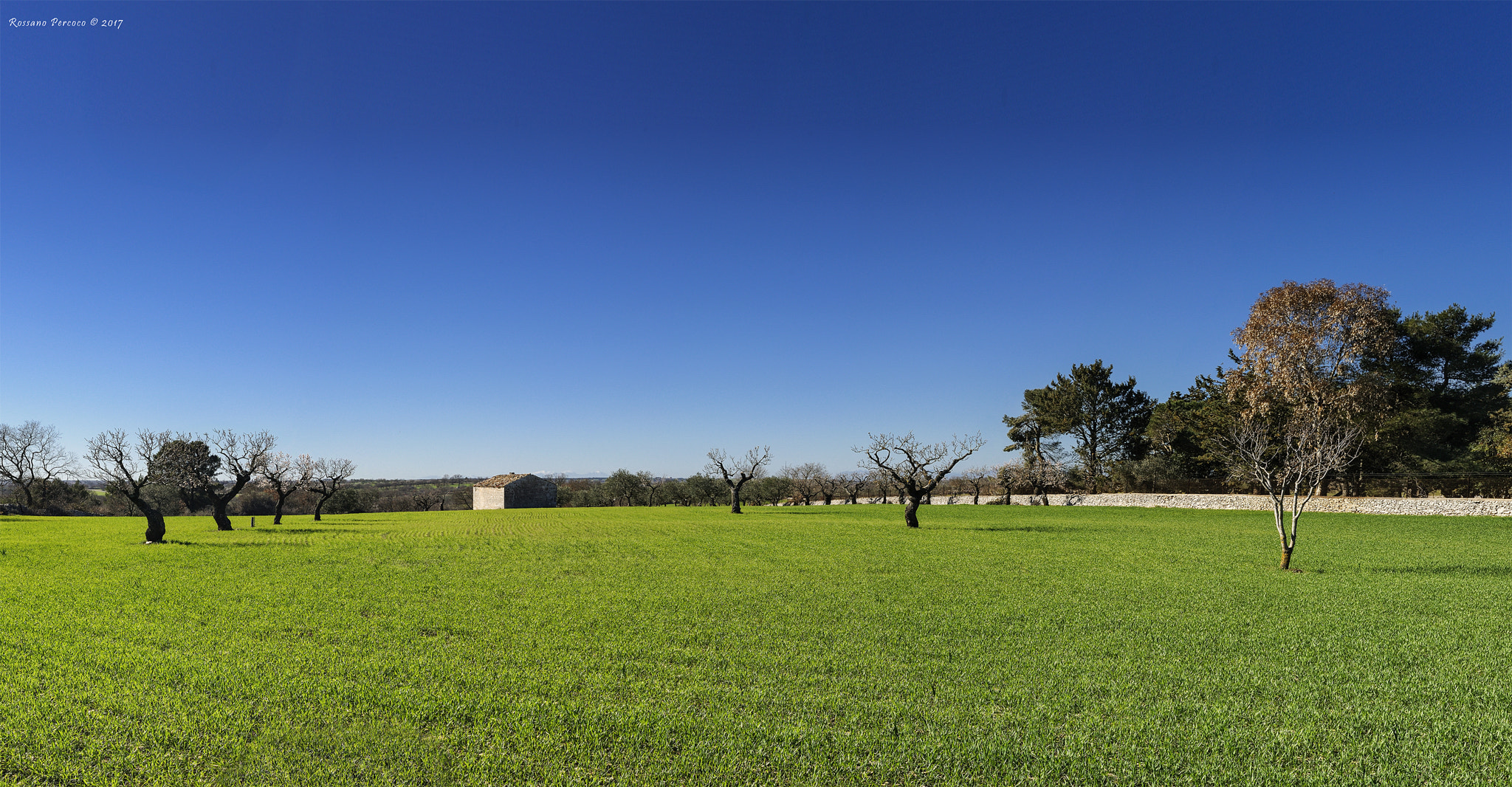 Nikon D700 sample photo. Una casa tra il blu e il verde photography