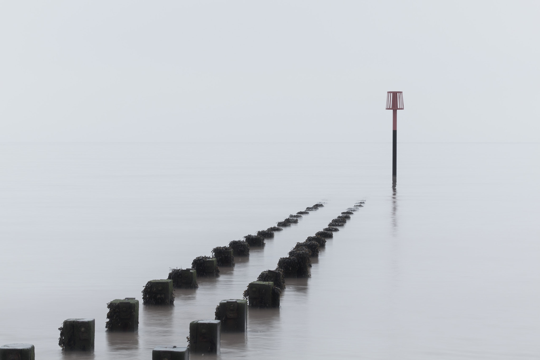 Canon EF 100-400mm F4.5-5.6L IS USM sample photo. Into the fog photography