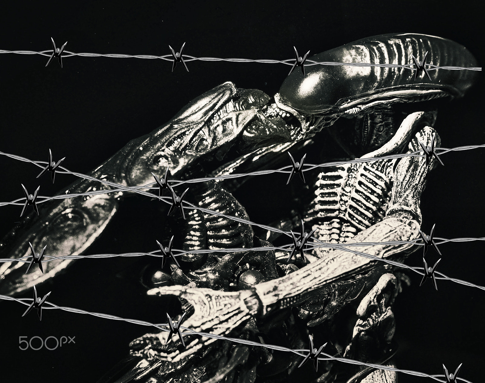 Olympus OM-D E-M10 sample photo. Love behind barbed wire photography