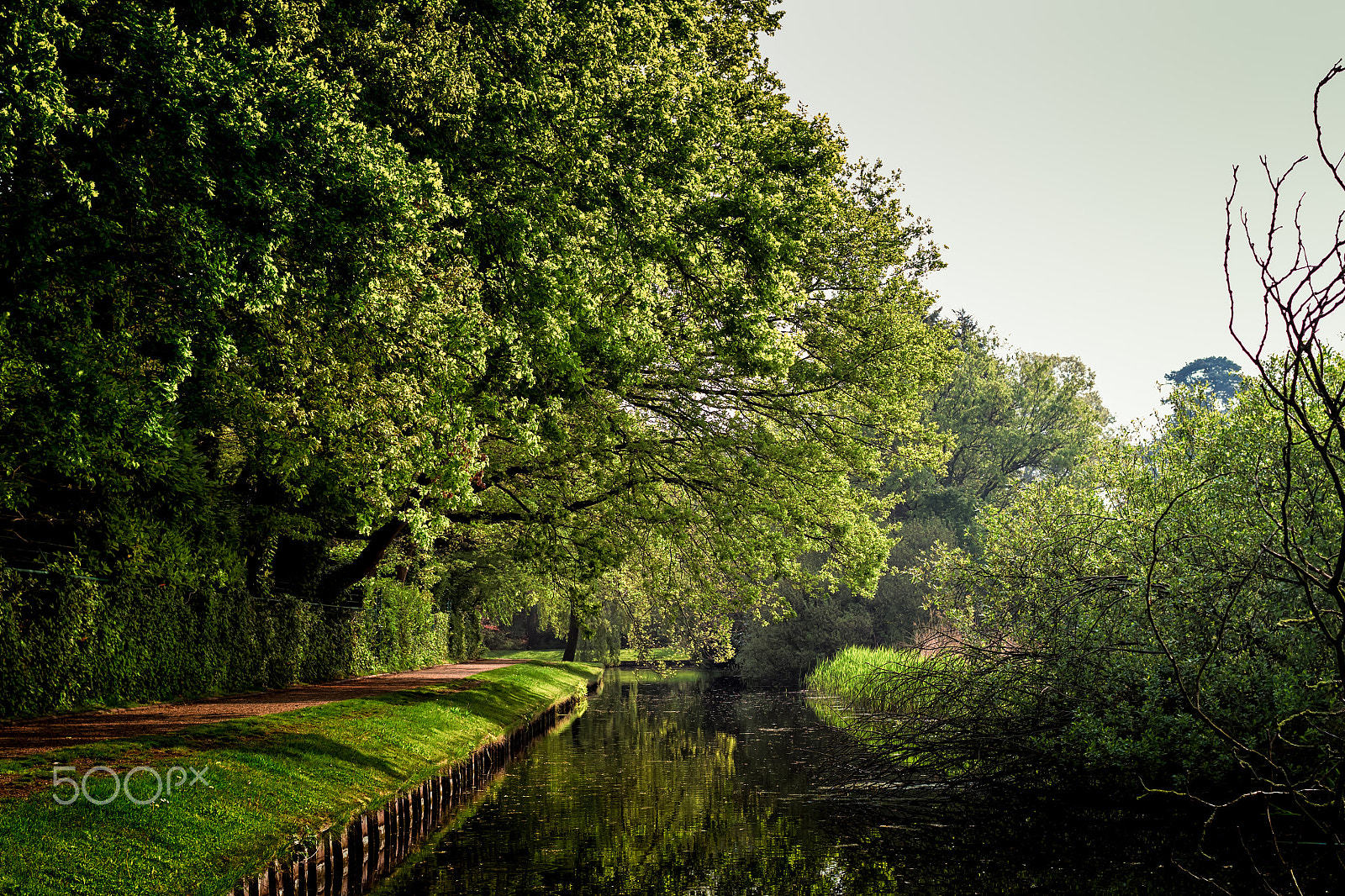 Canon EOS 50D + Canon EF 40mm F2.8 STM sample photo. Path by the canal photography