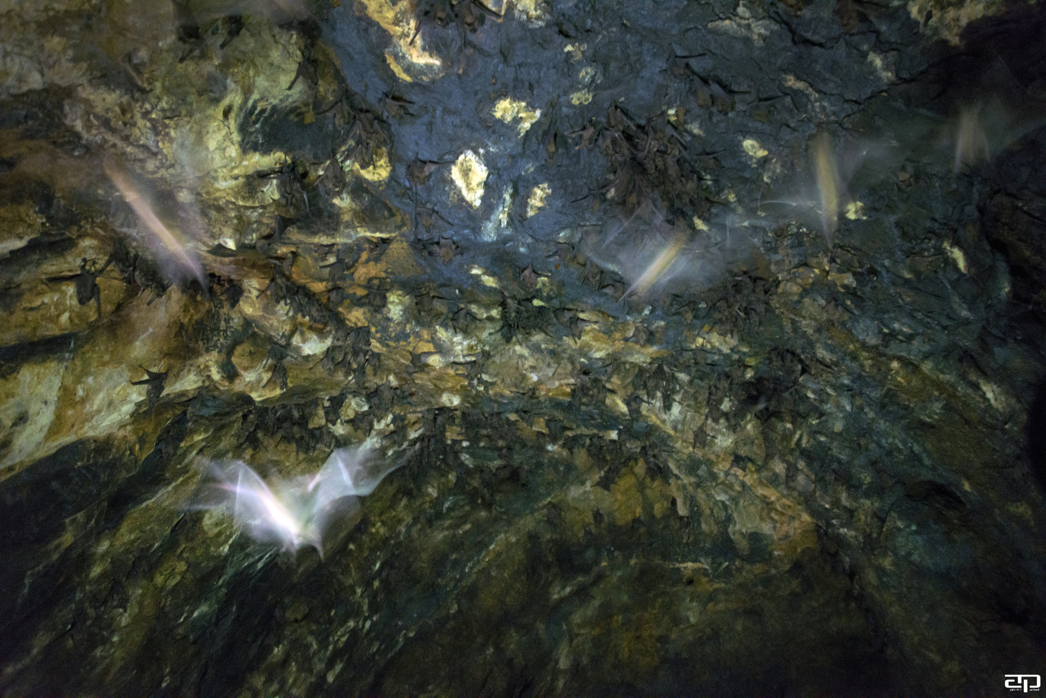 Nikon AF Nikkor 24-85mm F2.8-4D IF sample photo. ~ bat cave ~ photography