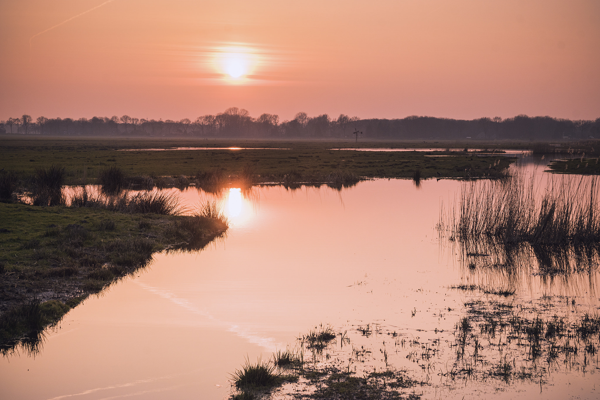 Sony ILCA-77M2 sample photo. Eemnes wetlands area photography