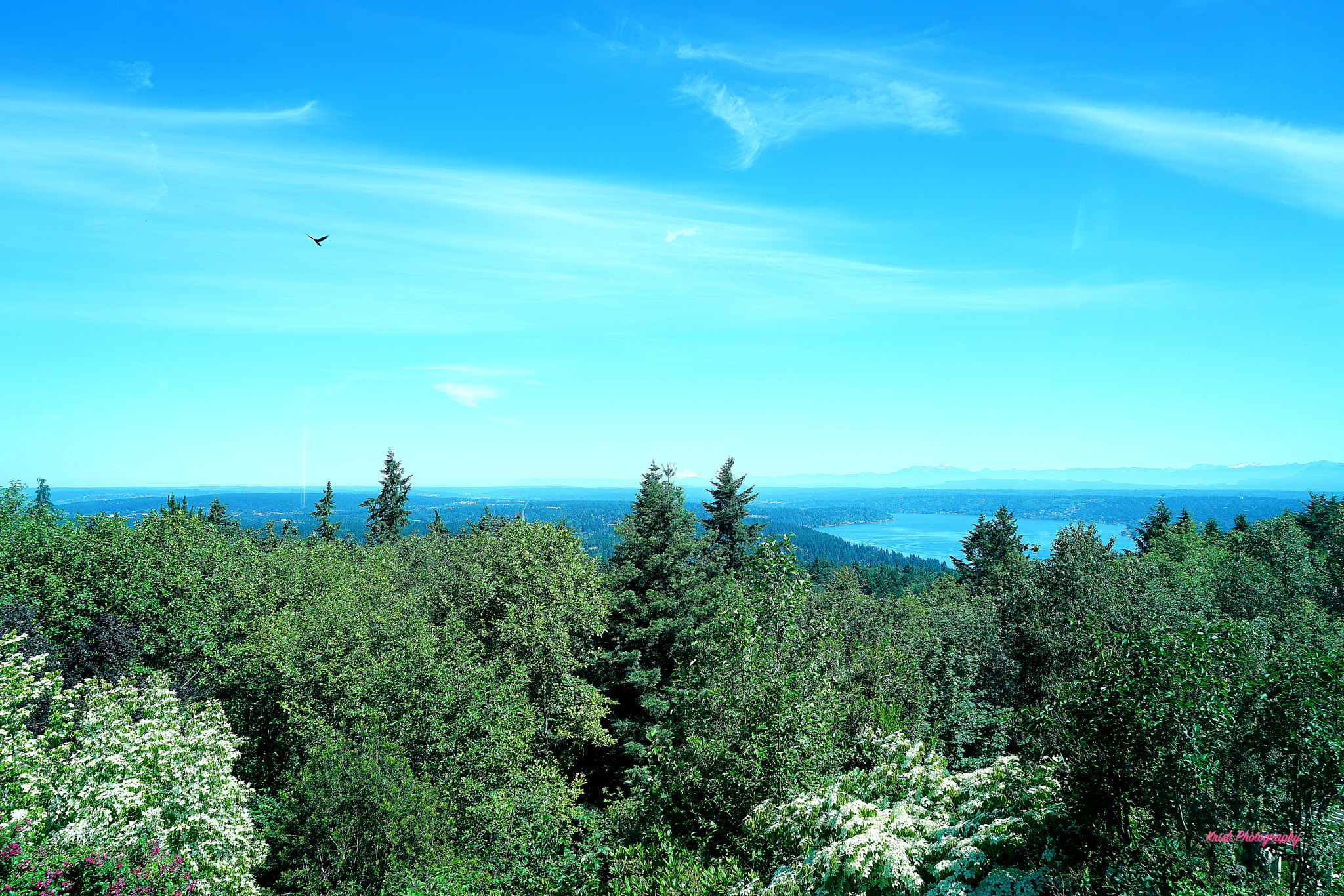 Sony Vario Tessar T* FE 24-70mm F4 ZA OSS sample photo. Lake sammamish & beyond from bellevue! photography