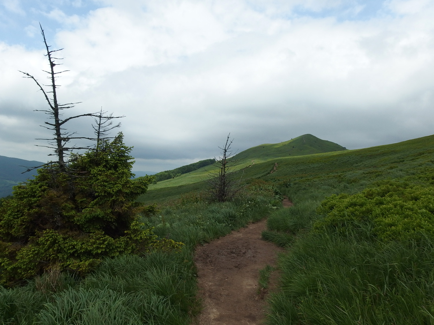 Olympus Stylus XZ-10 sample photo. Bieszczady mountains photography
