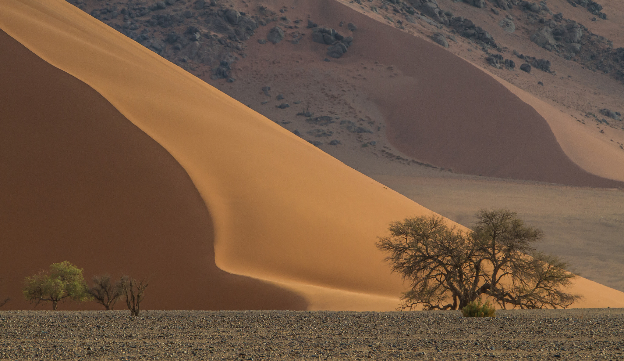 Canon EOS 7D + Canon EF 70-200mm F2.8L IS II USM sample photo. Sesriem dunes photography