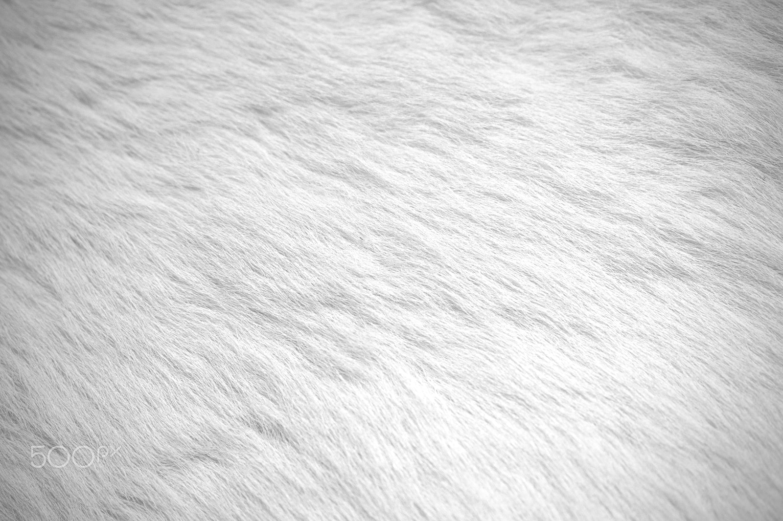 Sony a6500 sample photo. Fur background photography