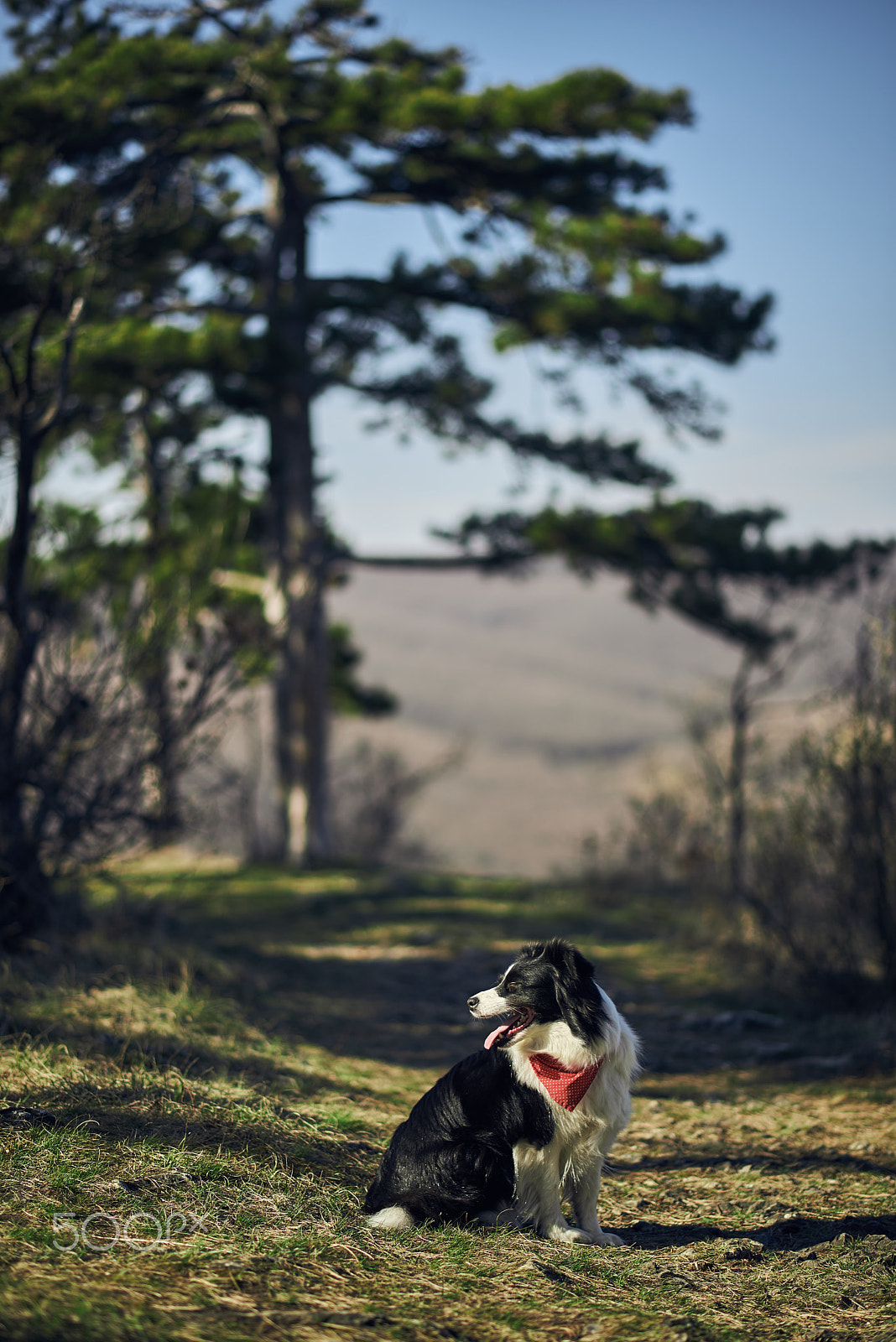 Nikon D610 + Nikon AF-S Nikkor 85mm F1.8G sample photo. Adventure photography