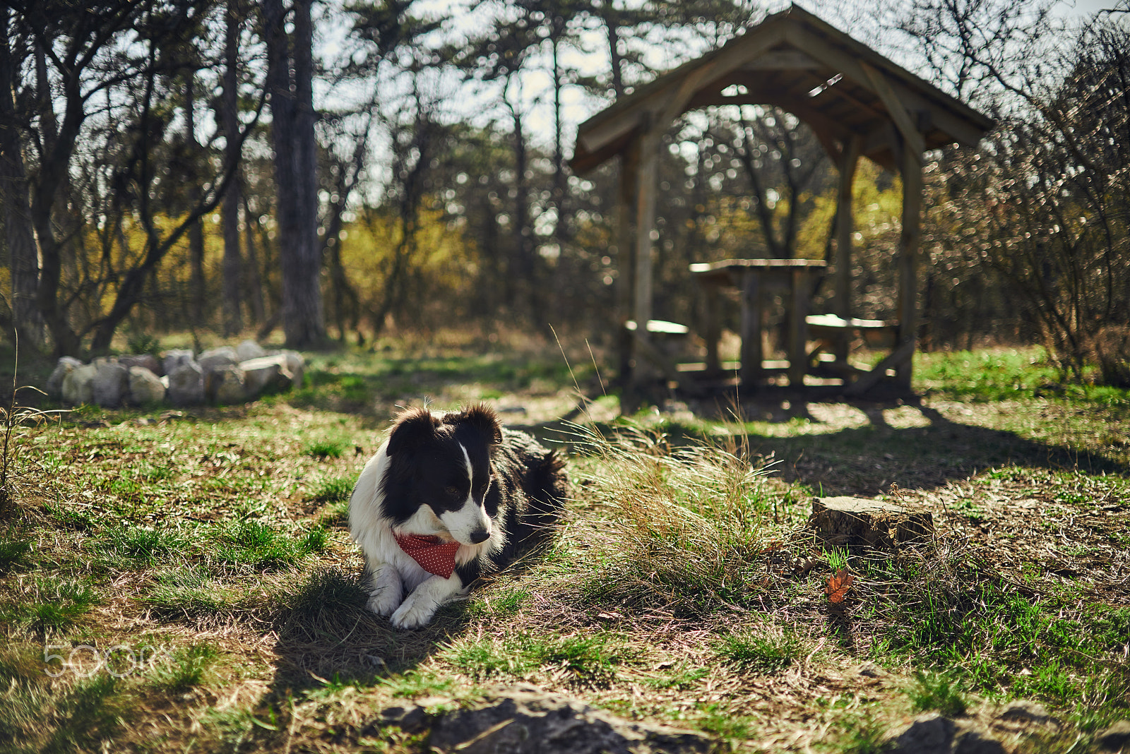 Nikon AF-S DX Nikkor 35mm F1.8G sample photo. Adventure photography