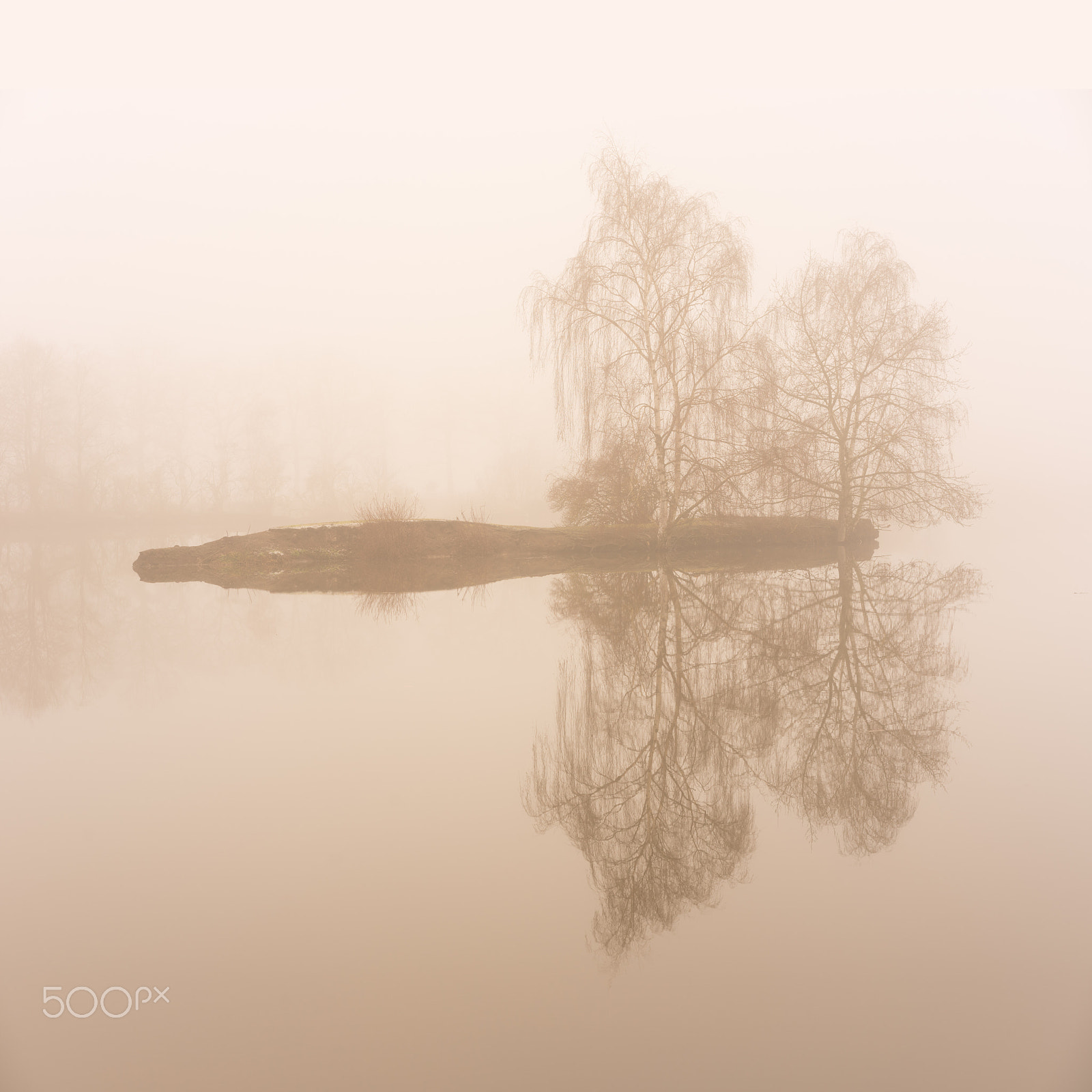 Sony a7R sample photo. Small island in the fog on the water photography