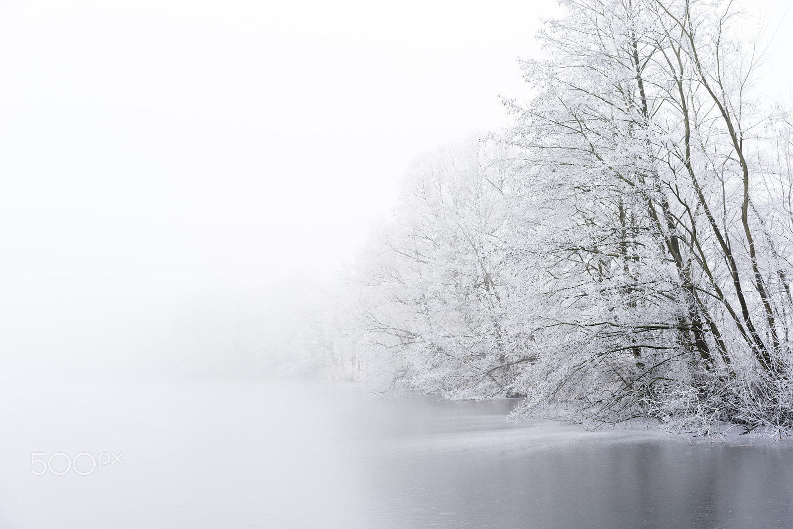 Sony a7R sample photo. Winter fog on the bank of icy lake. frozen trees. photography